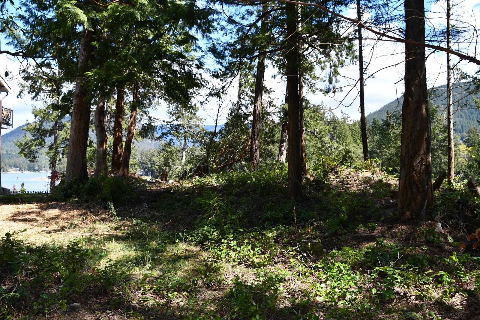 Listing Image 11