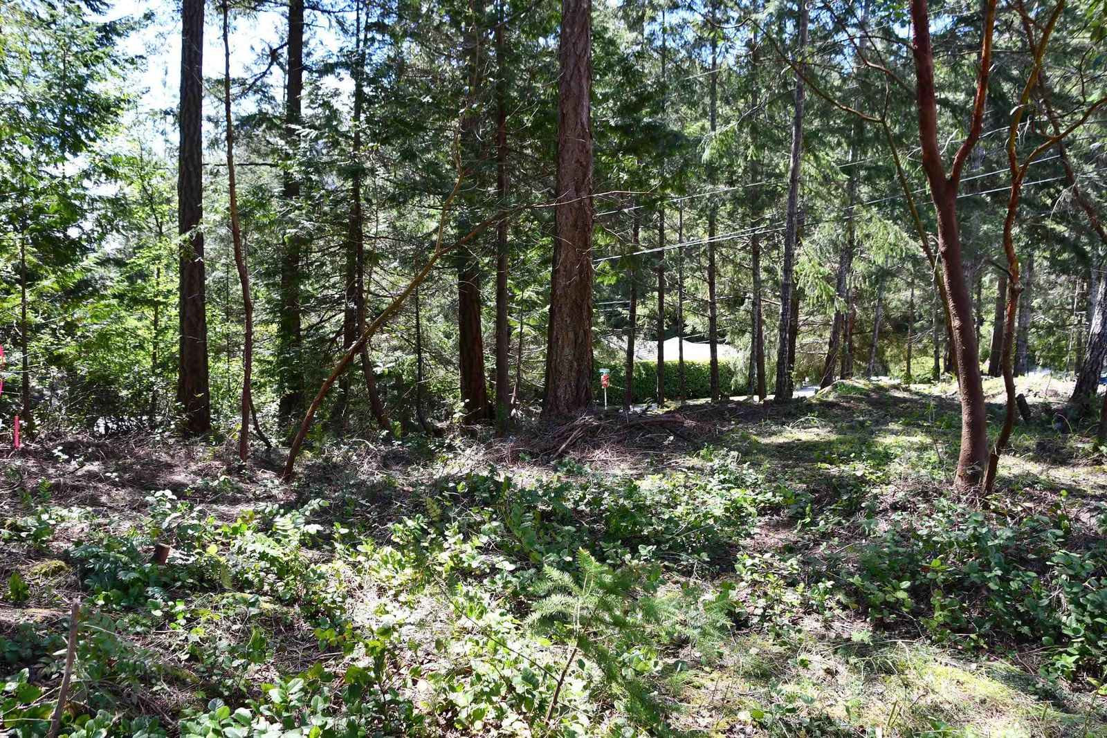 Listing Image 17
