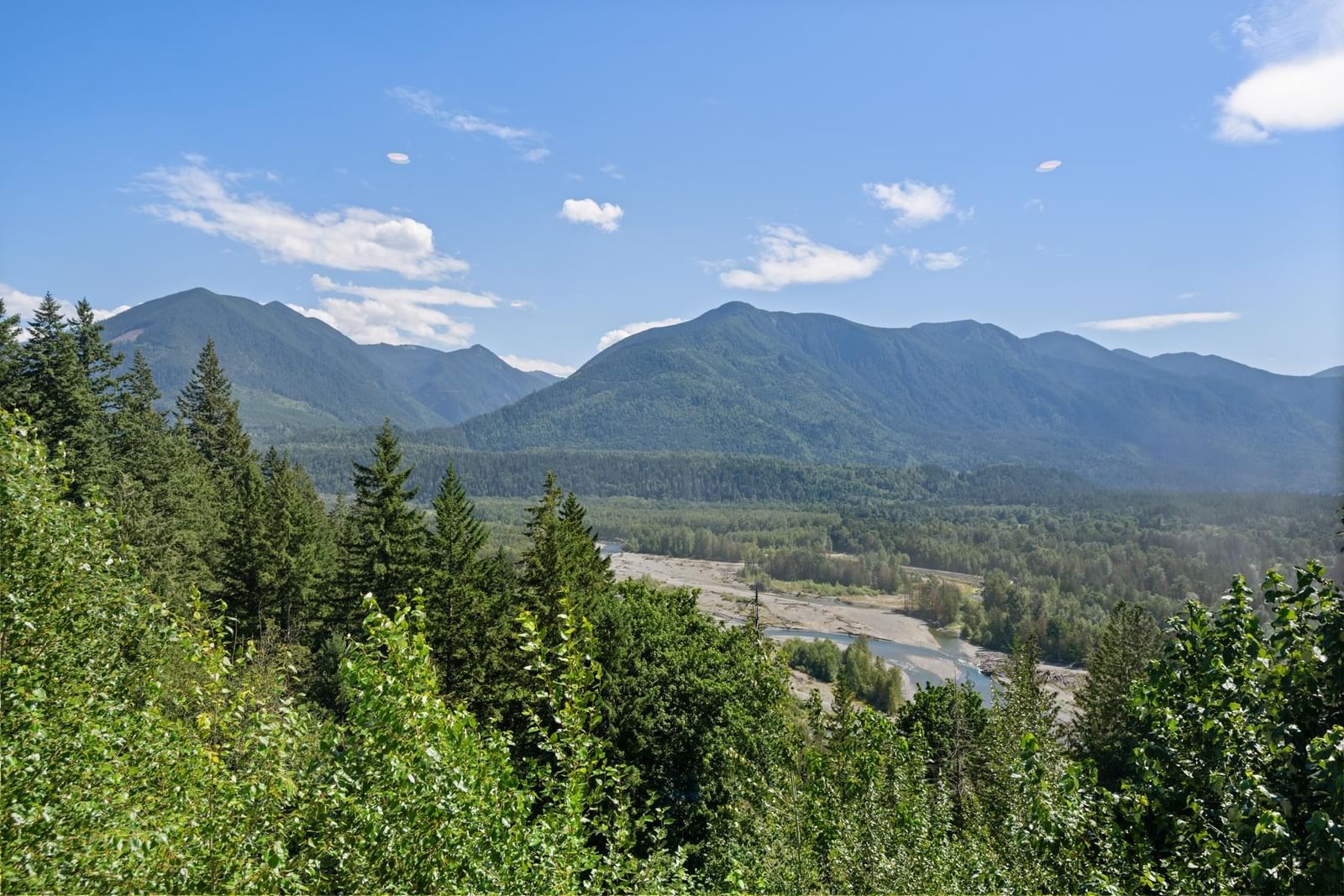 Listing Image 19