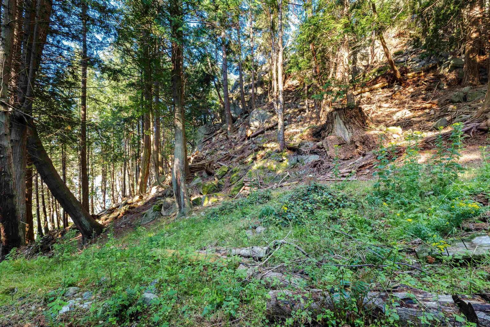 Listing Image 21
