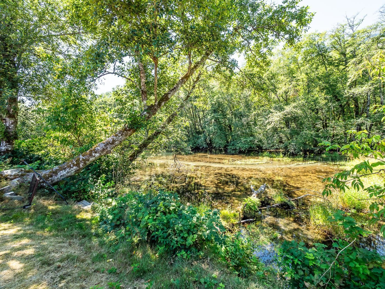 Listing Image 34