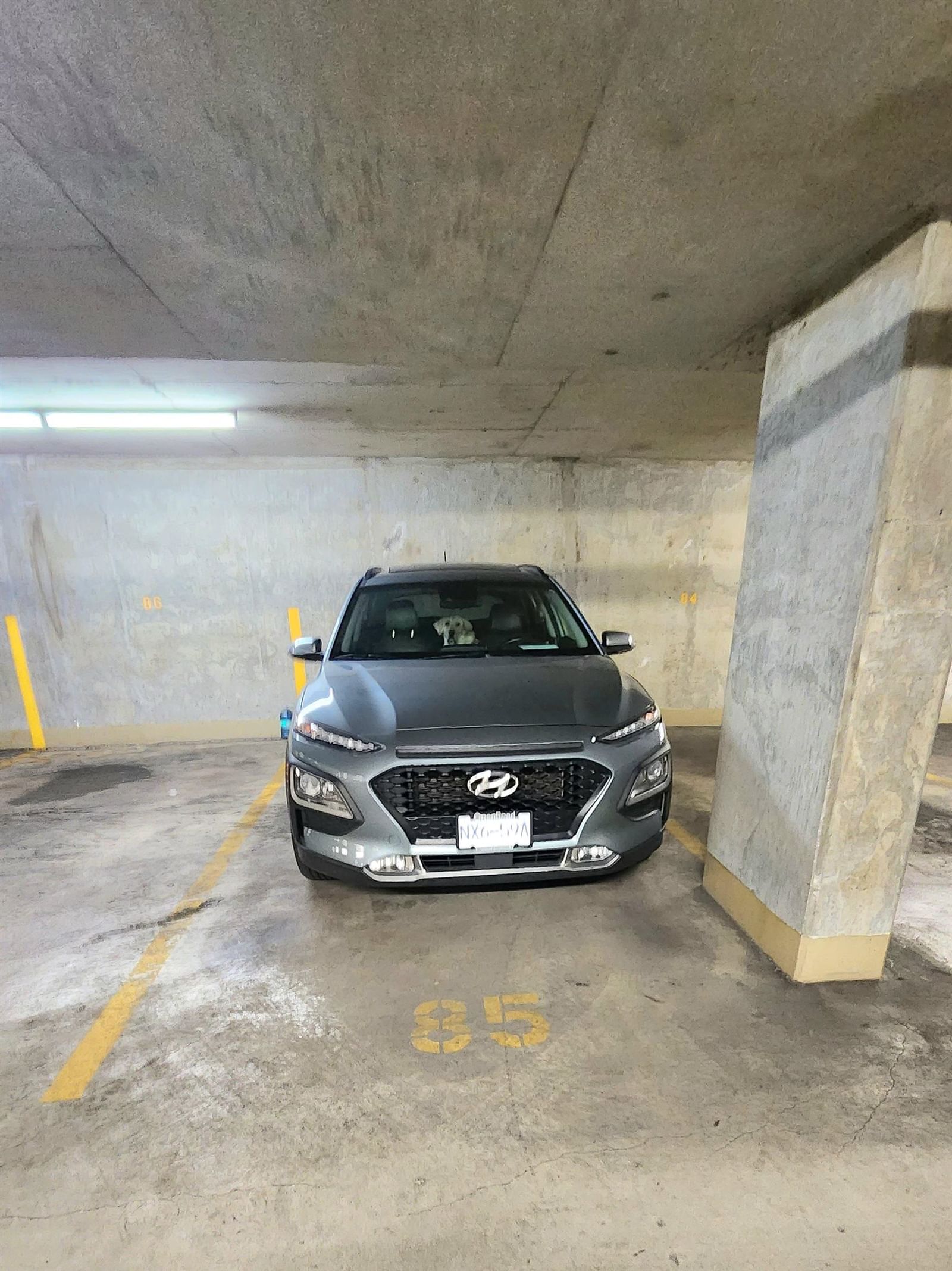 Listing Image 16