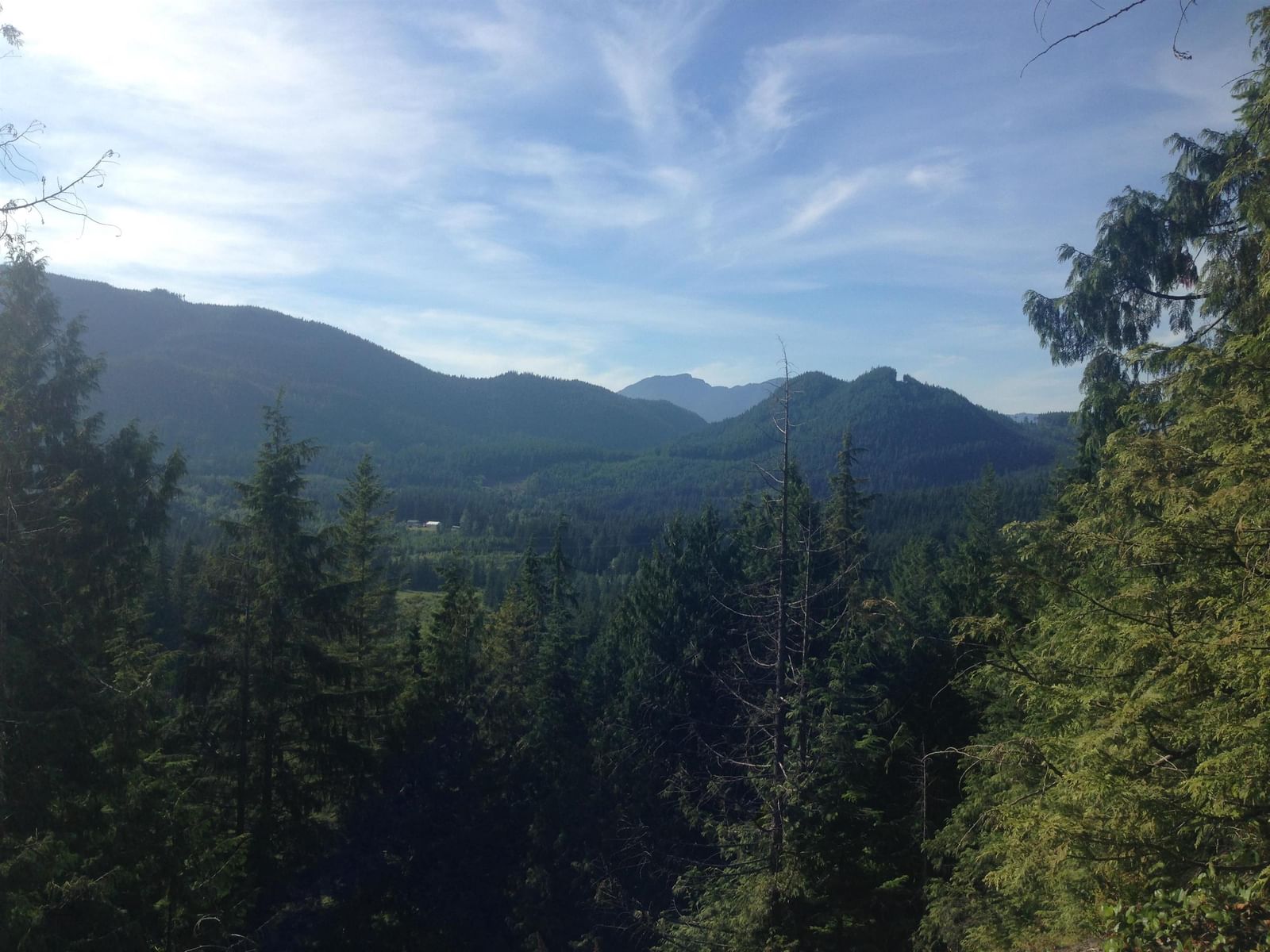 Listing Image 38