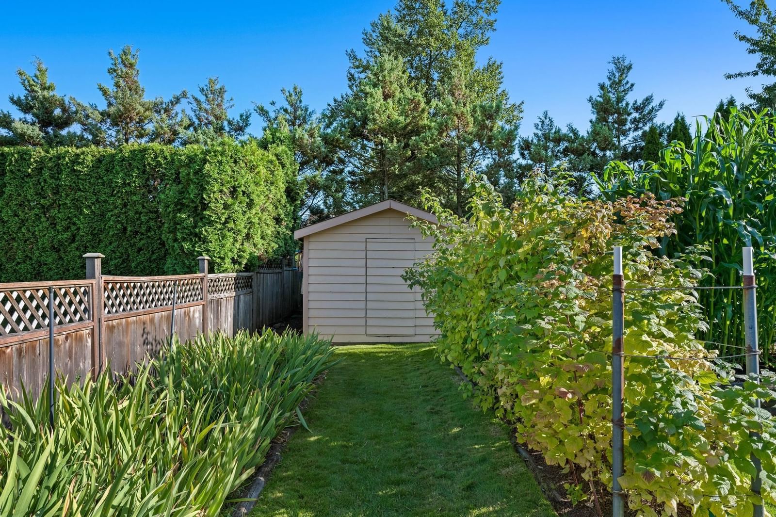 Listing Image 13