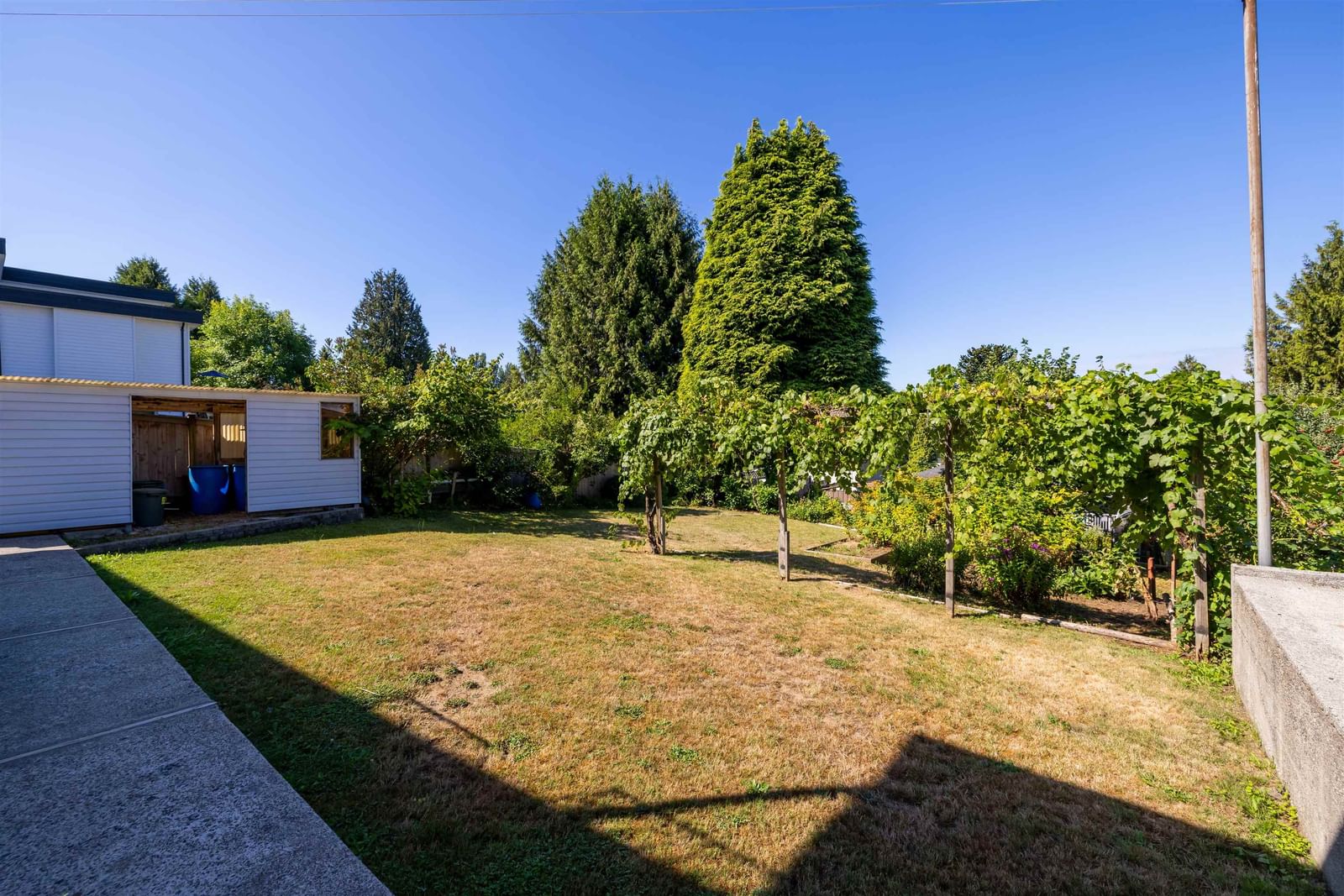 Listing Image 31