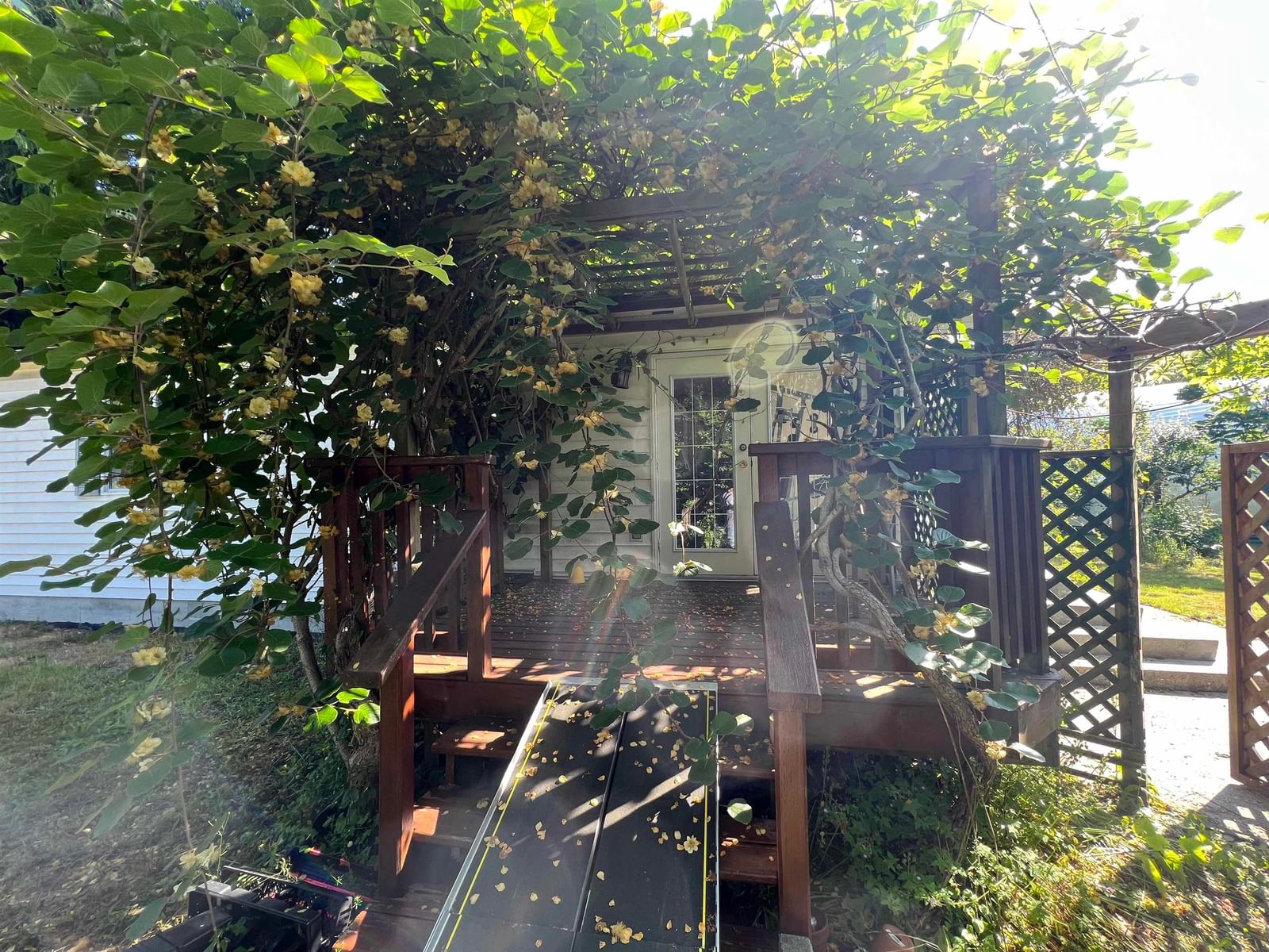 Listing Image 21
