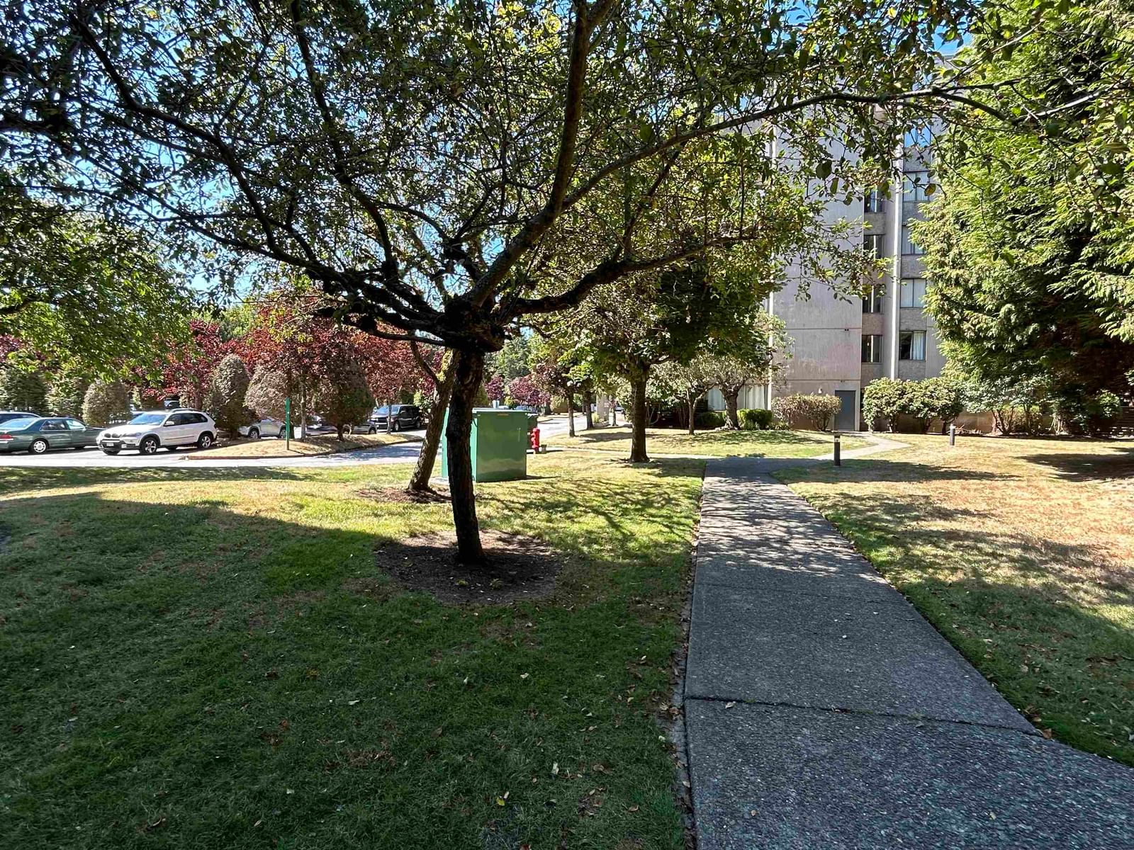 Listing Image 19