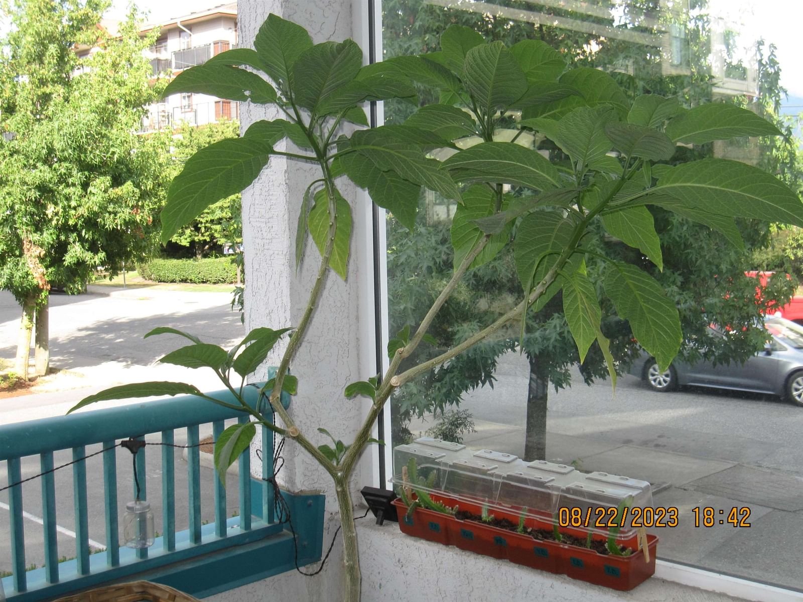 Listing Image 19