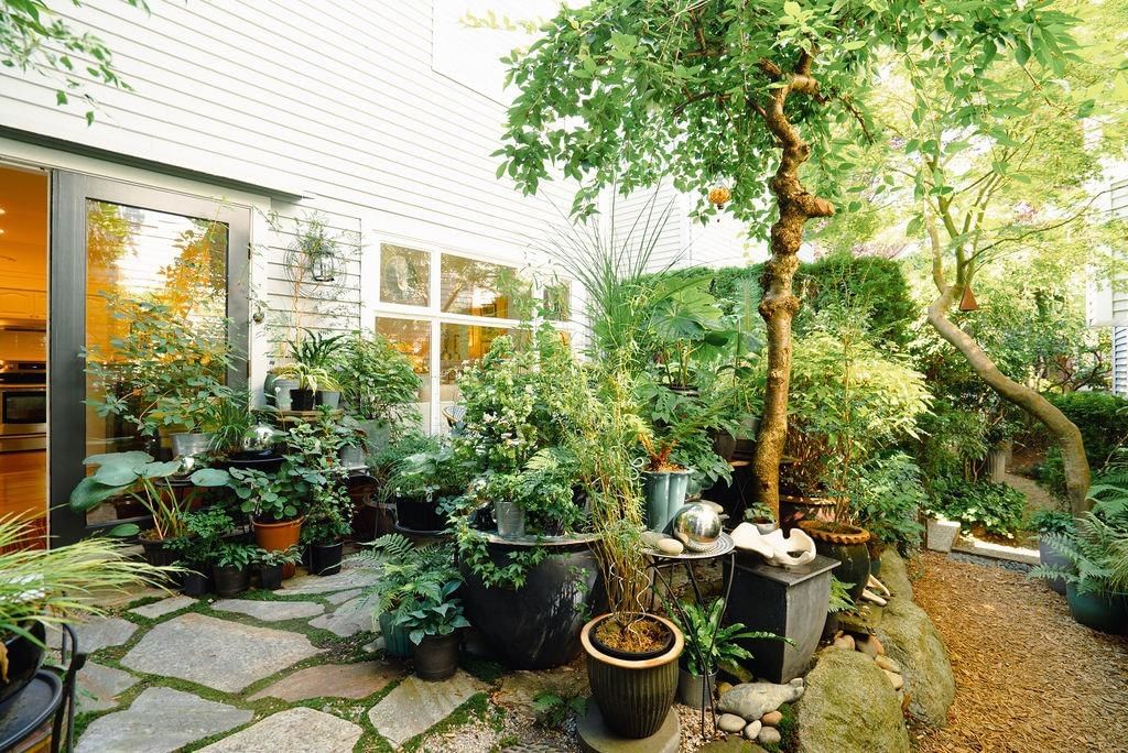Listing Image 20