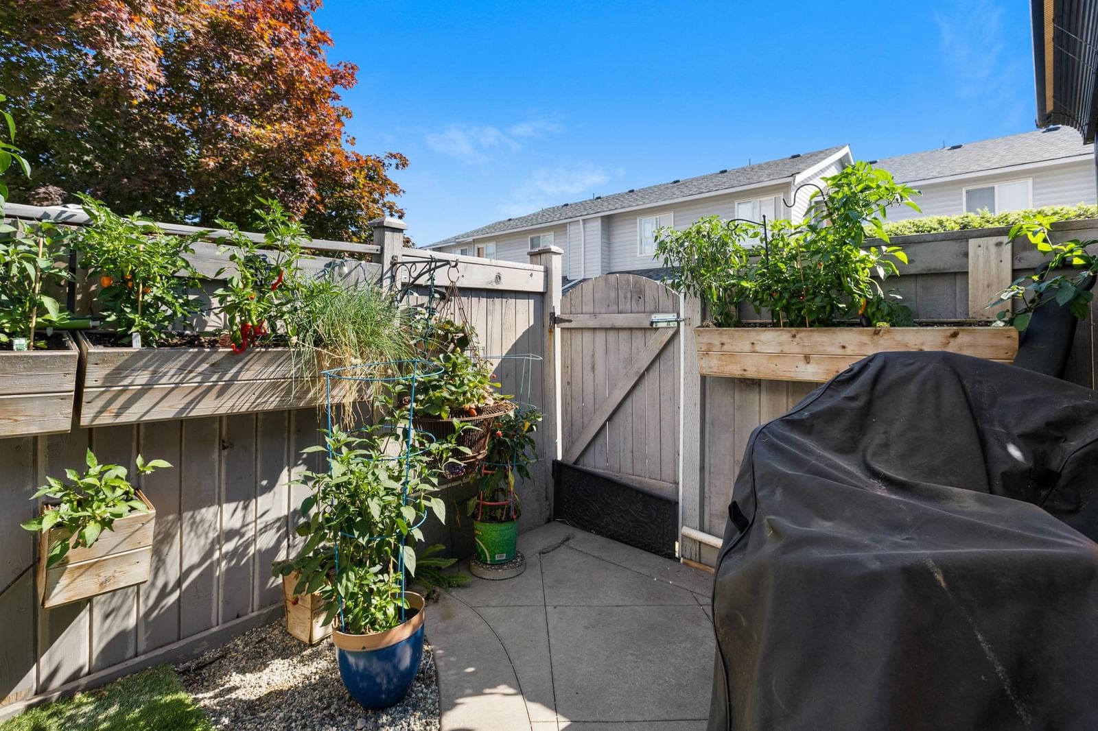 Listing Image 33
