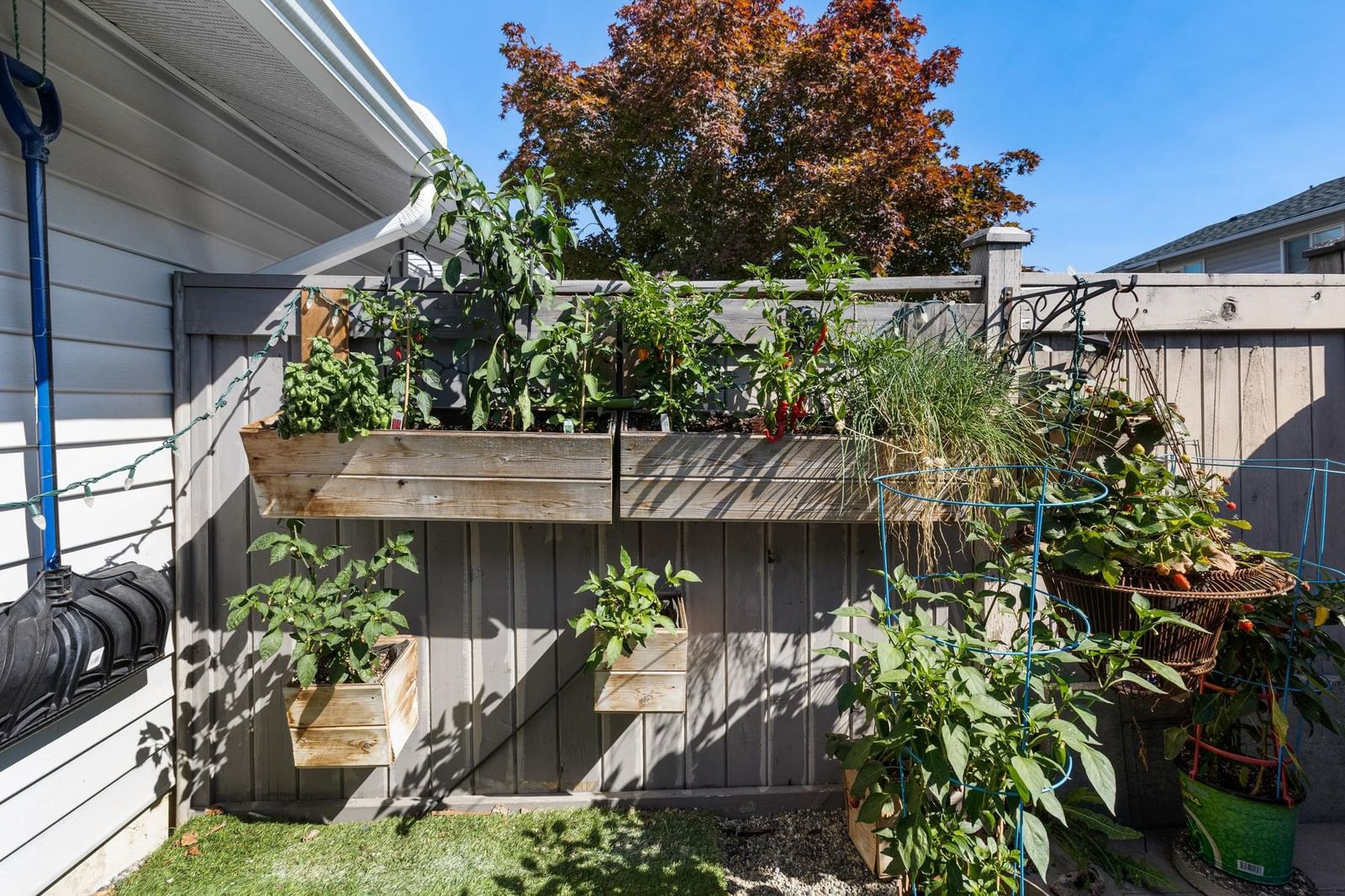 Listing Image 34