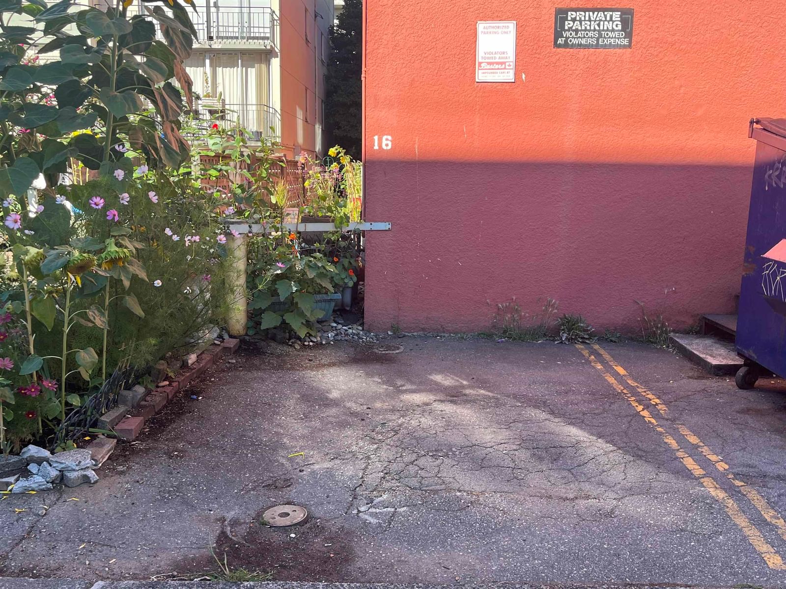 Listing Image 19