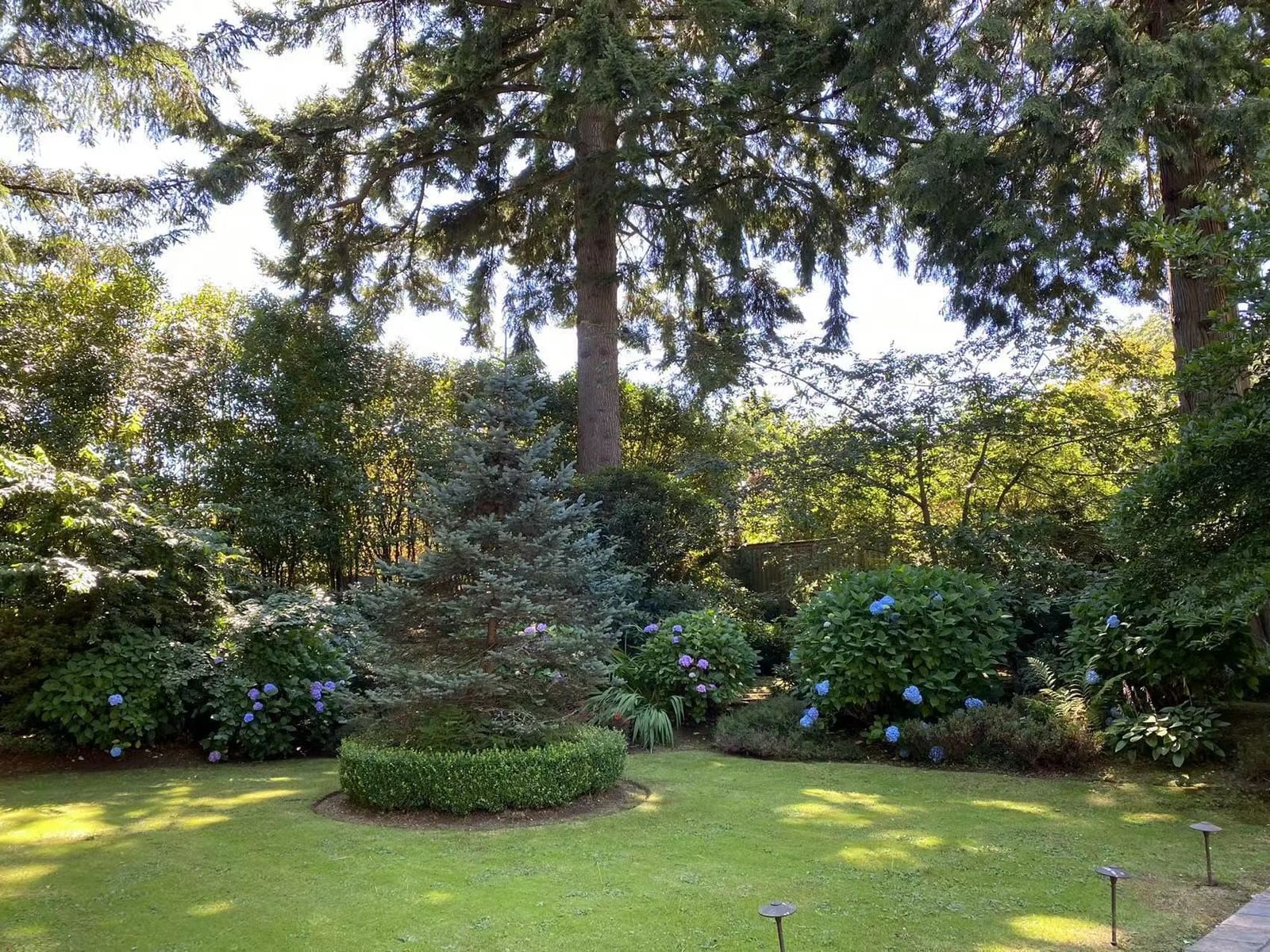 Listing Image 19