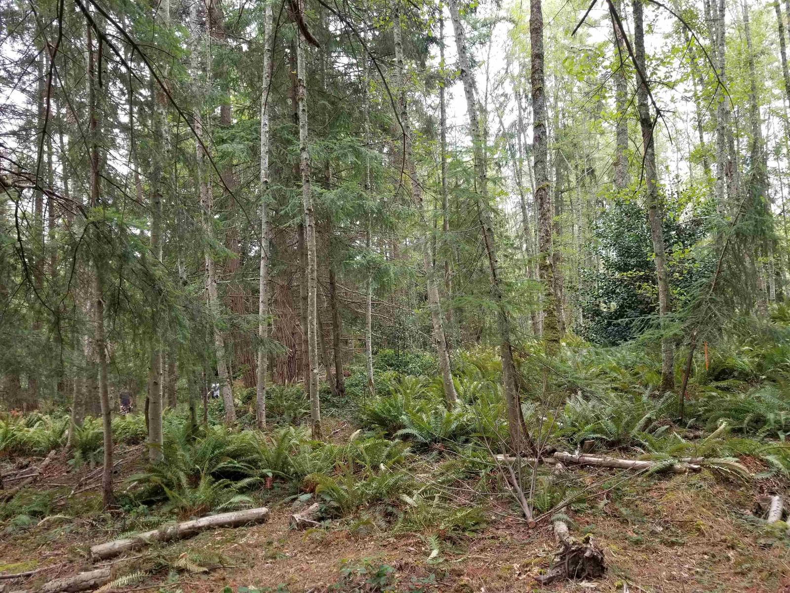 Listing Image 25