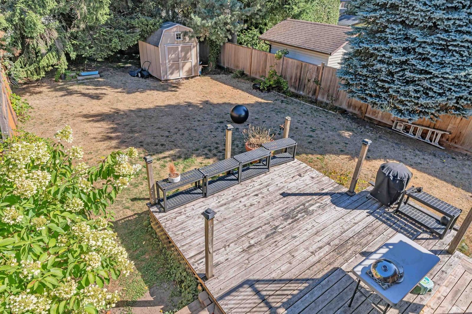 Listing Image 29