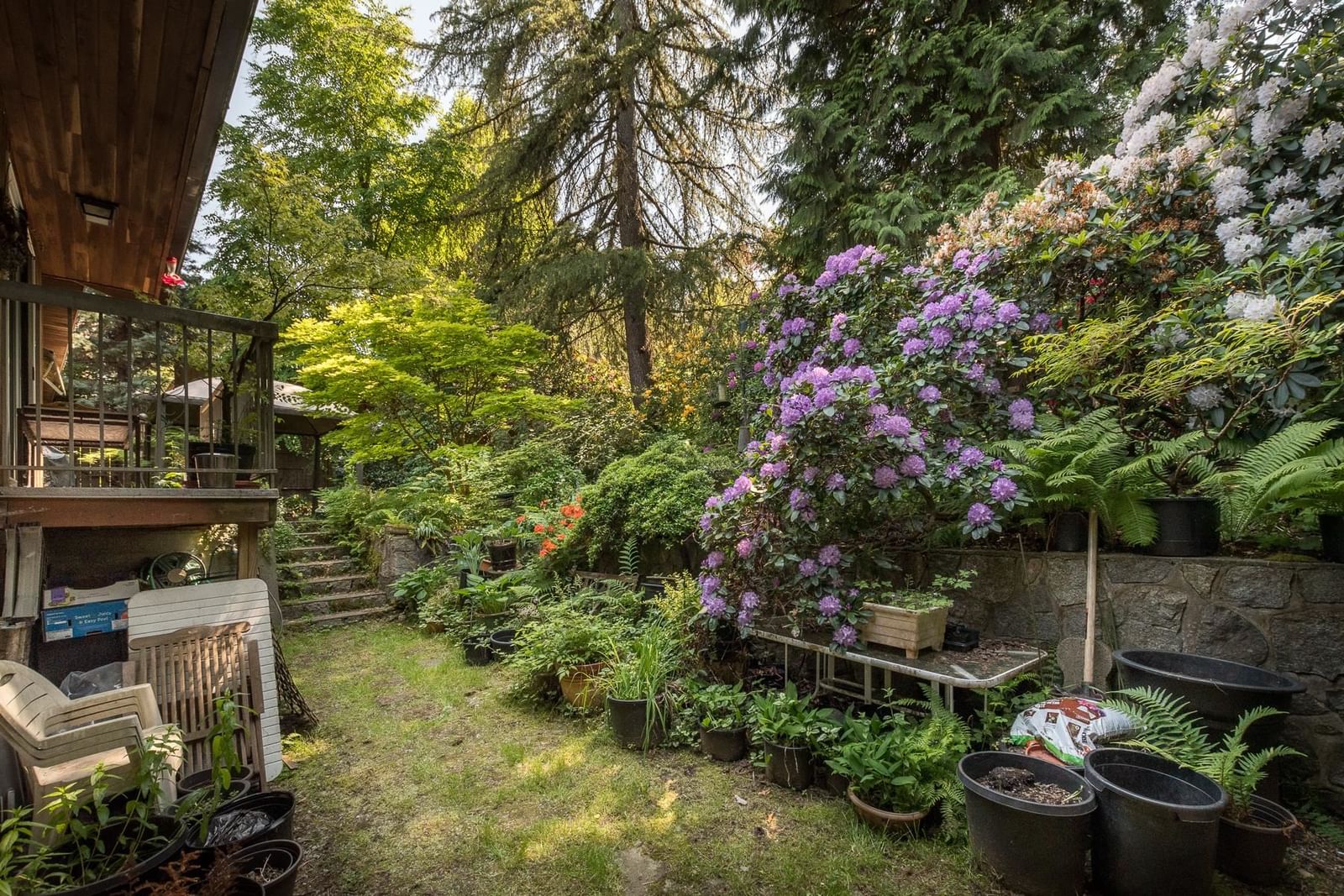 Listing Image 32