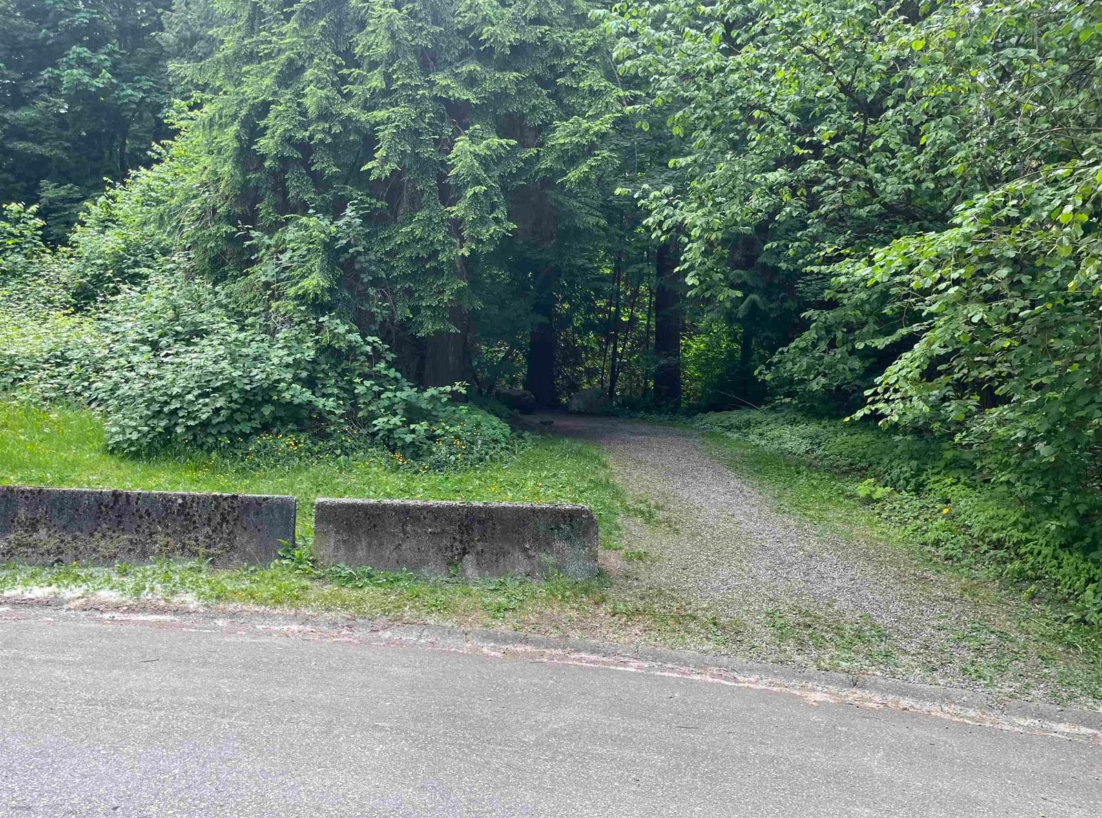 Listing Image 39