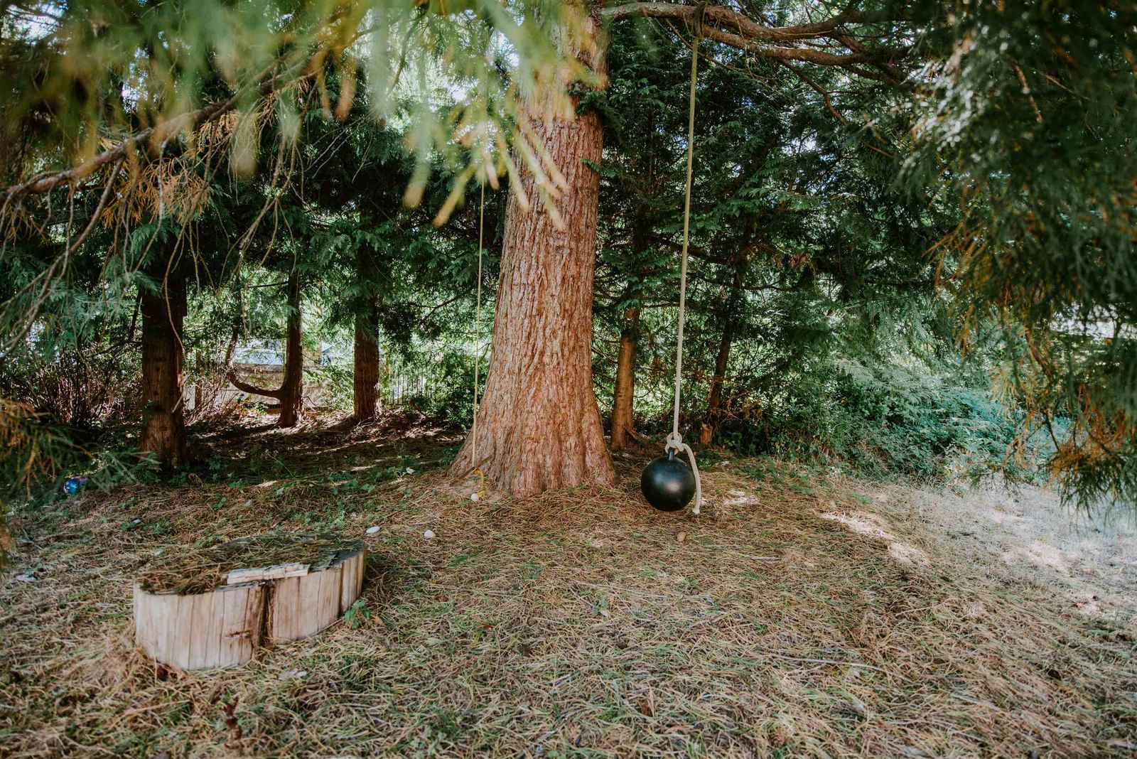 Listing Image 31