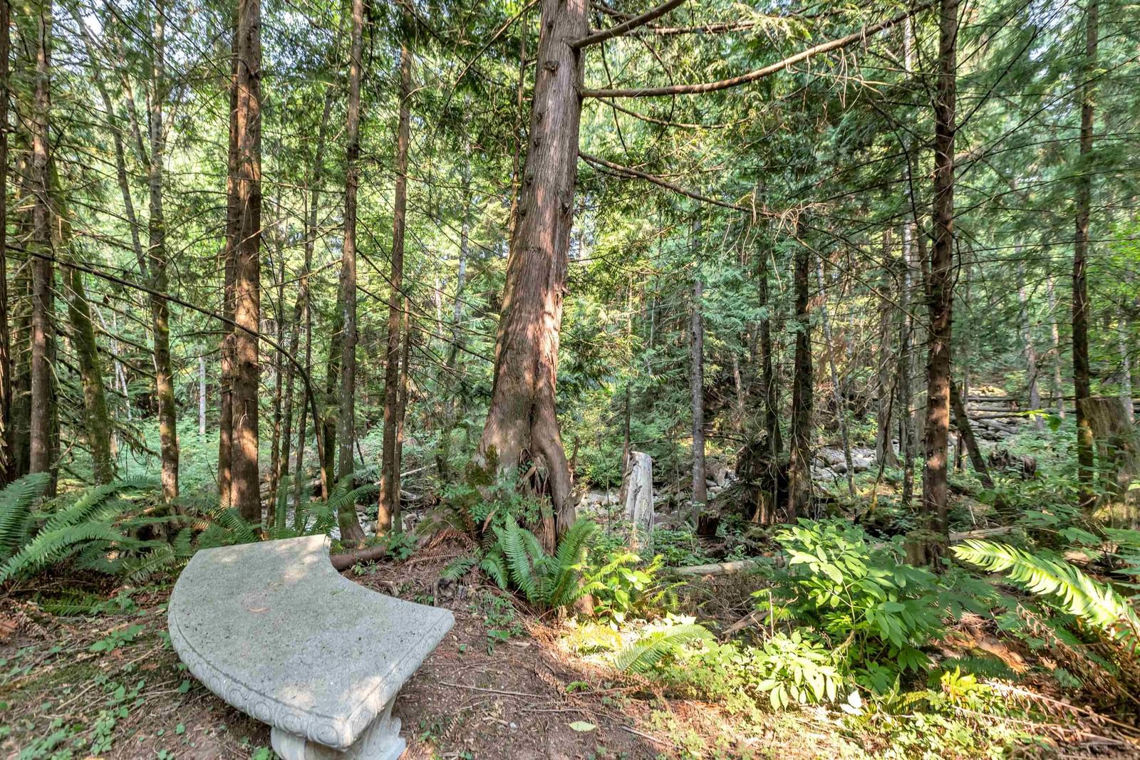 Listing Image 33
