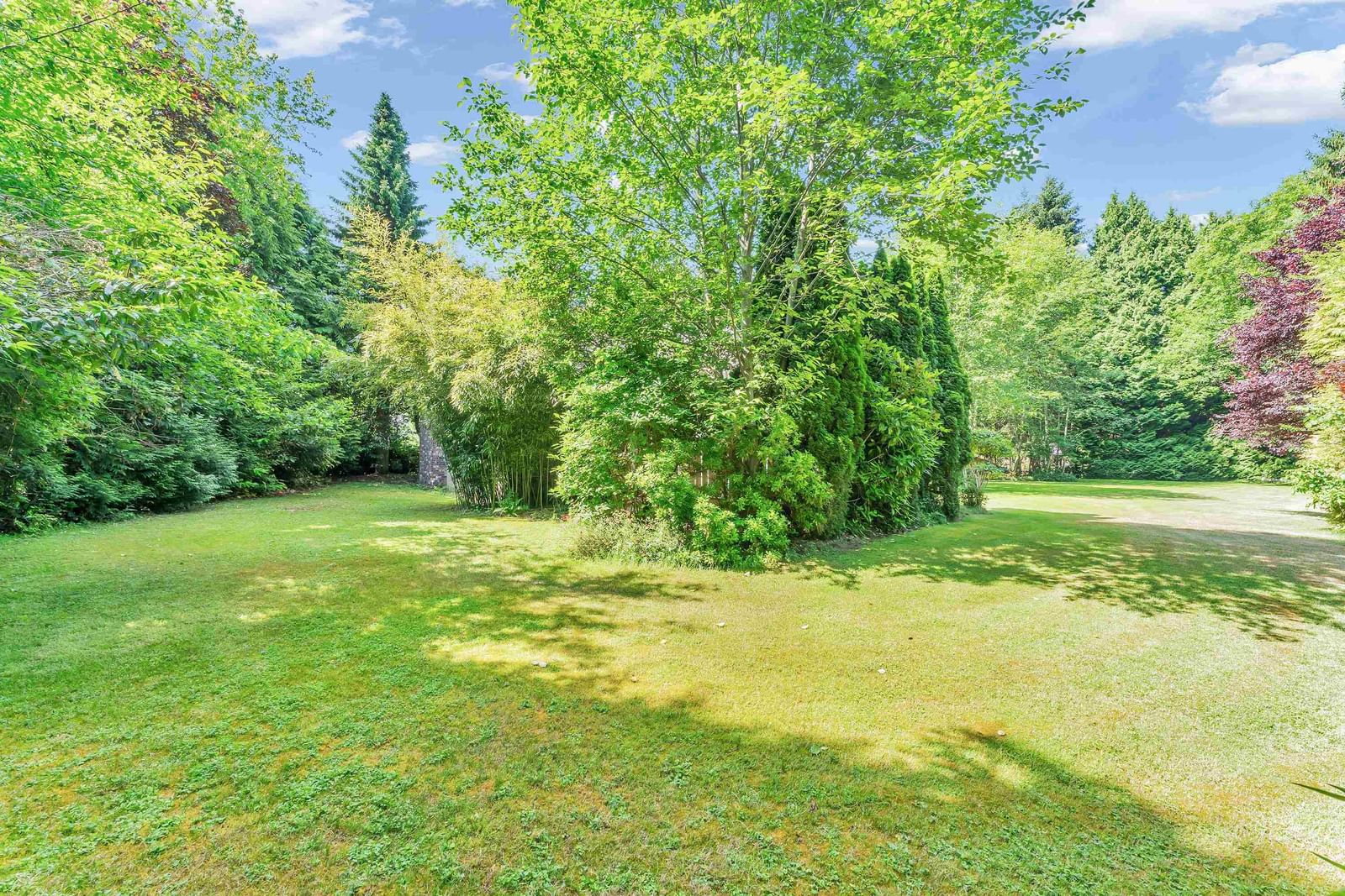 Listing Image 30