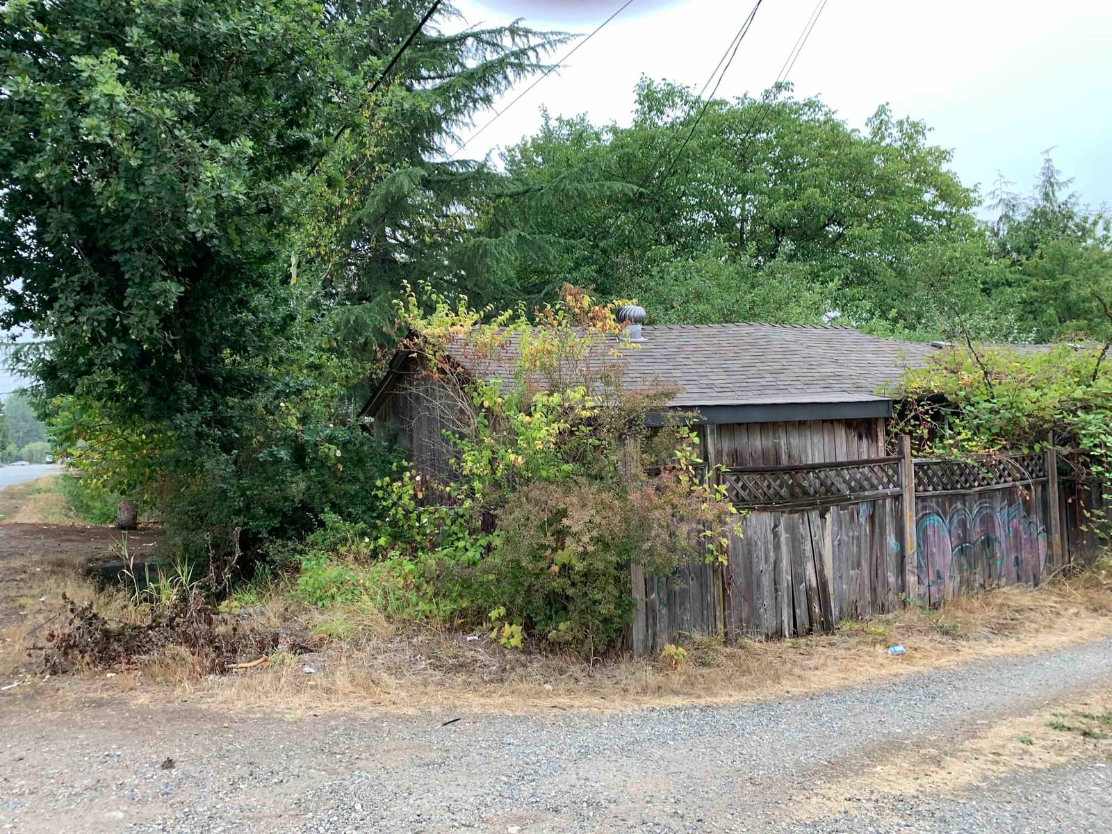 Listing Image 18