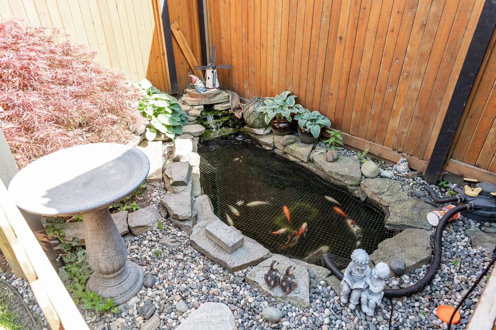 Listing Image 37