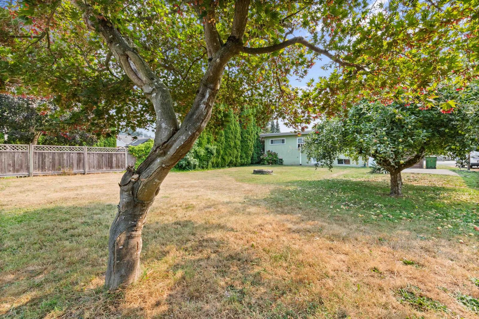 Listing Image 31
