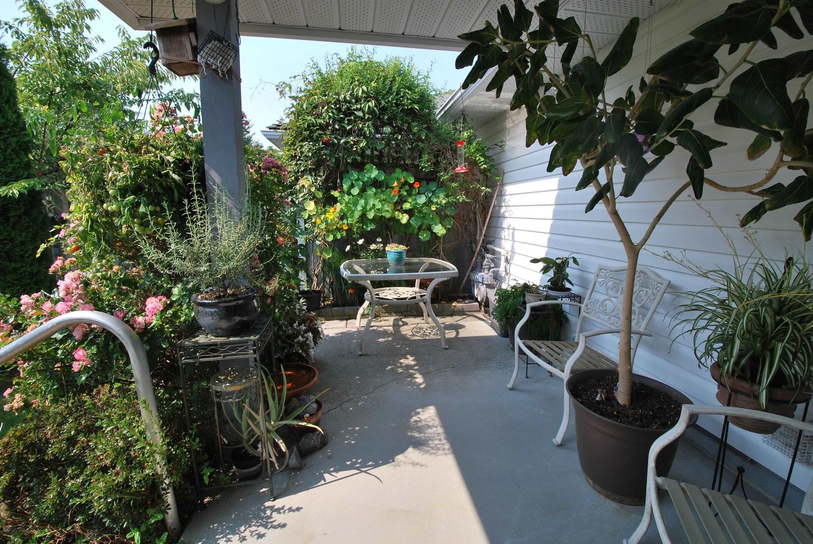 Listing Image 20