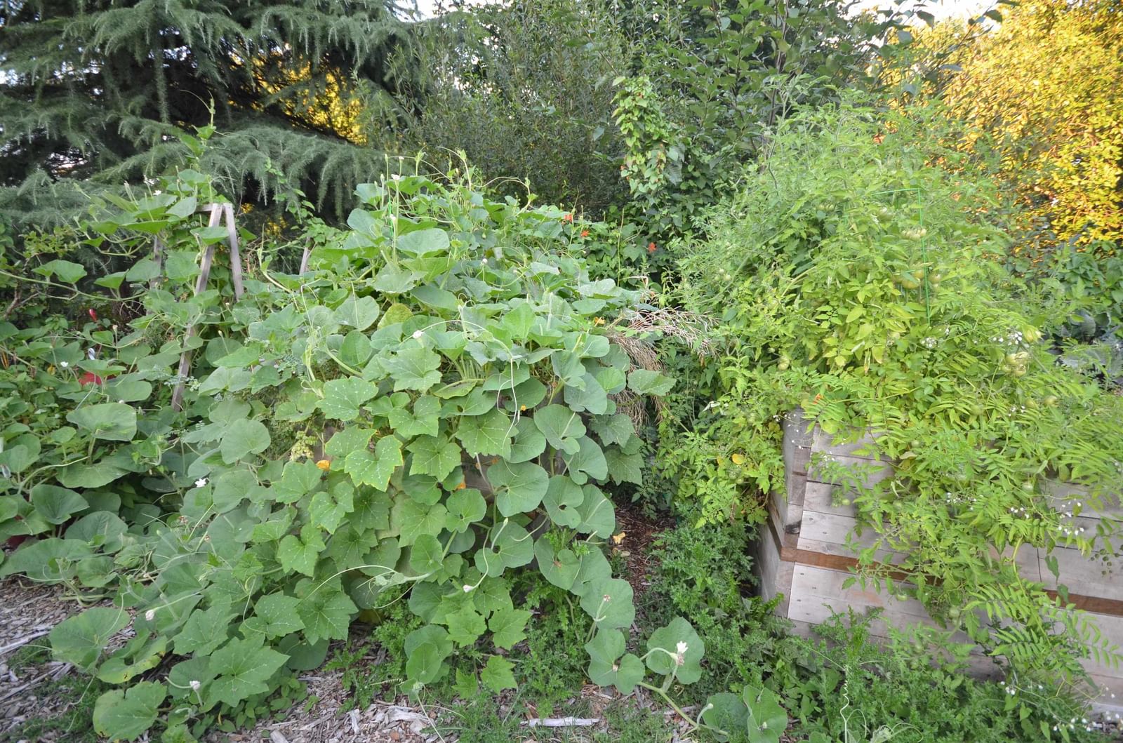 Listing Image 17