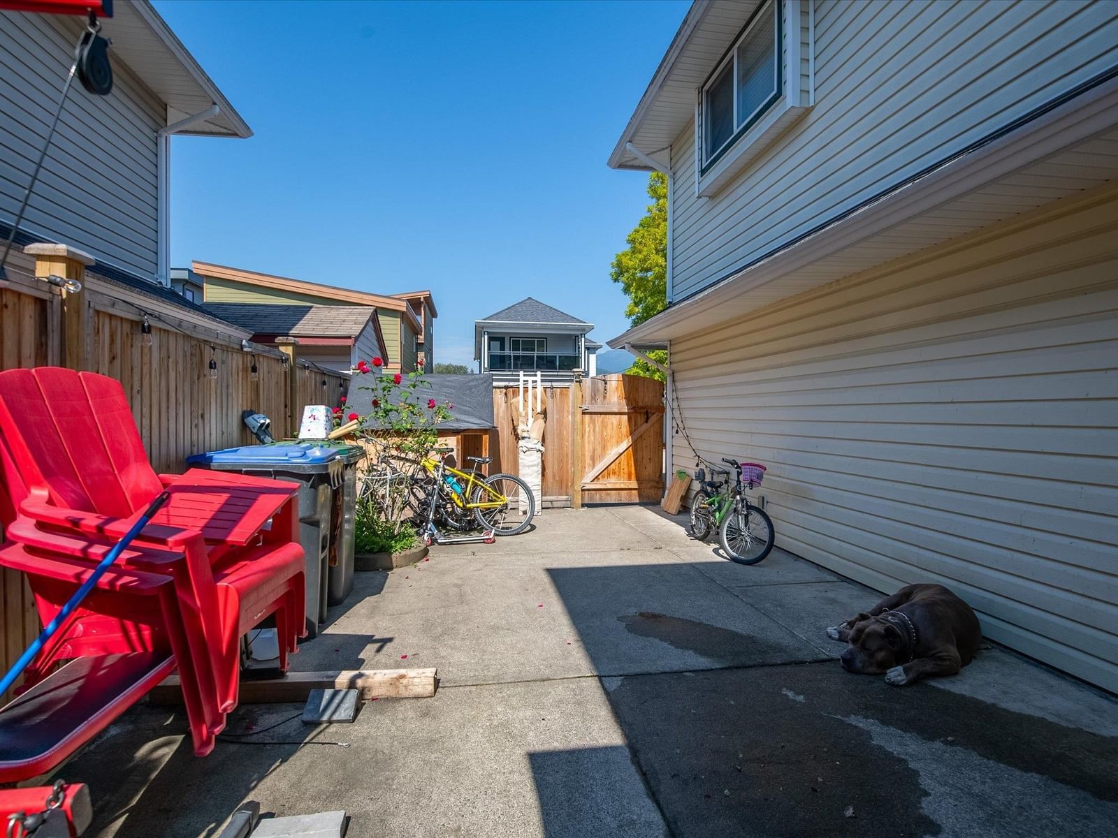 Listing Image 19