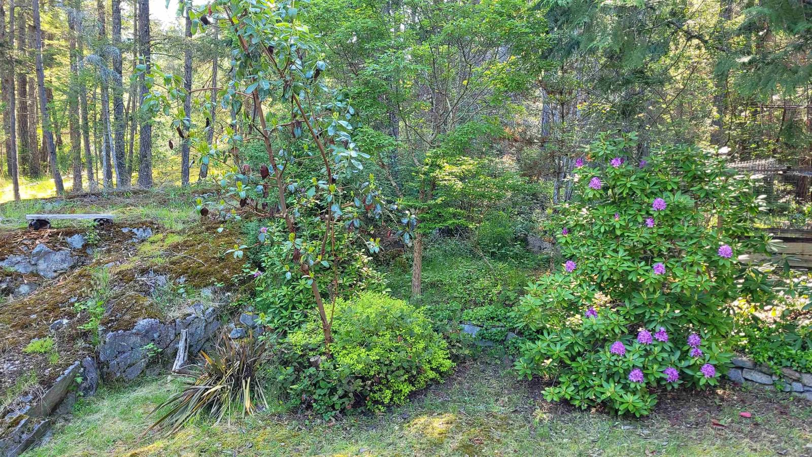 Listing Image 39