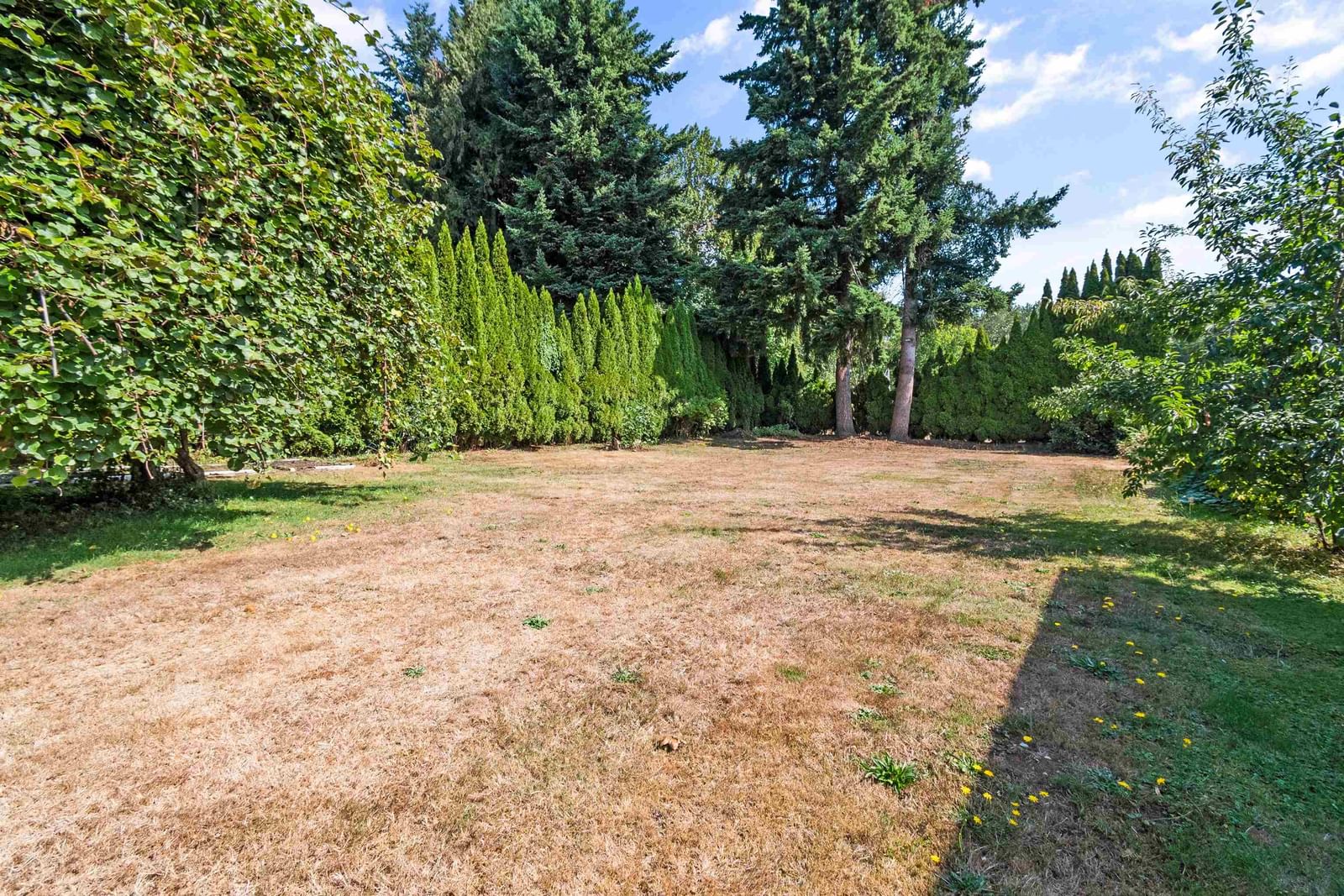 Listing Image 35