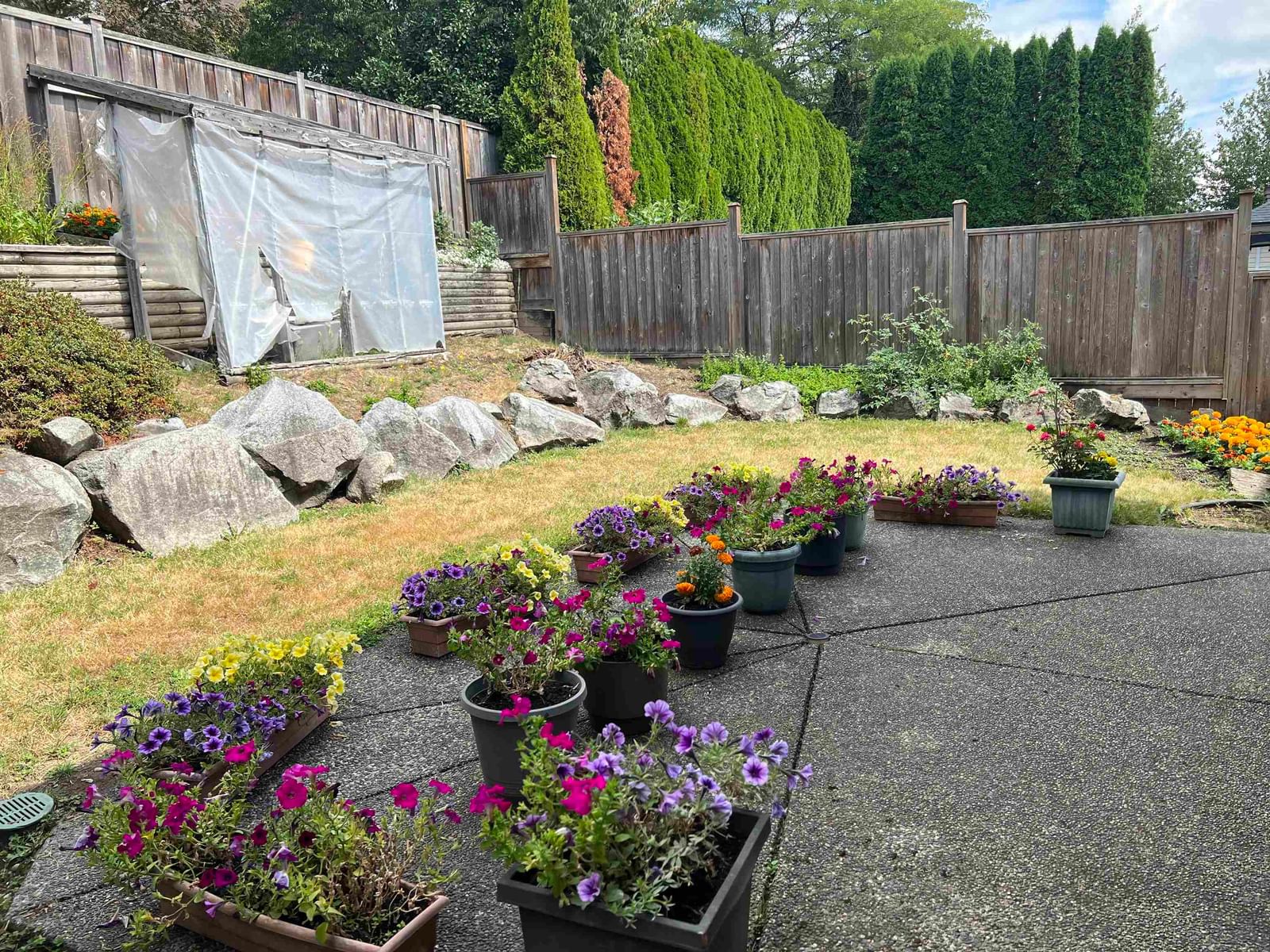 Listing Image 3