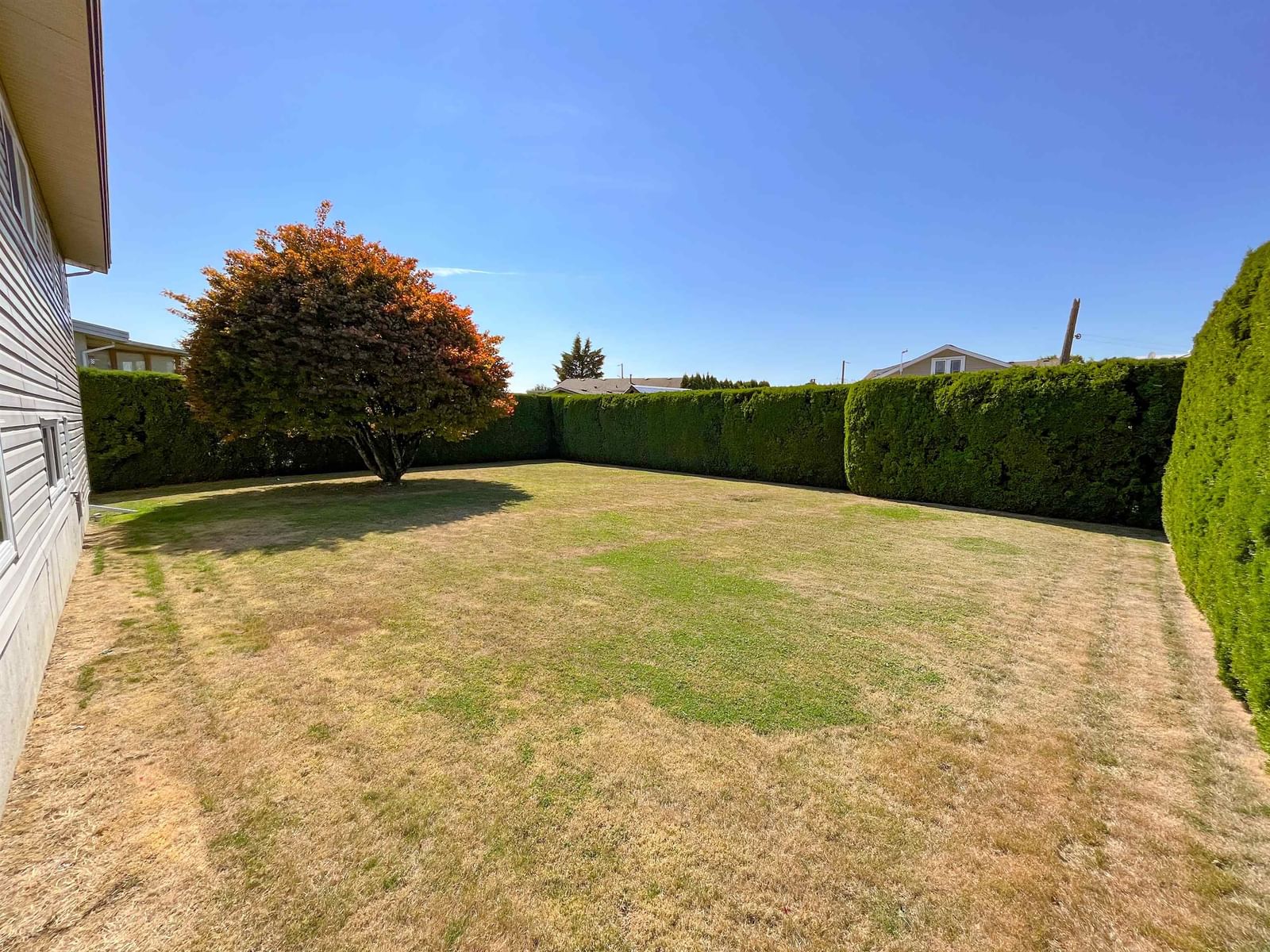 Listing Image 30