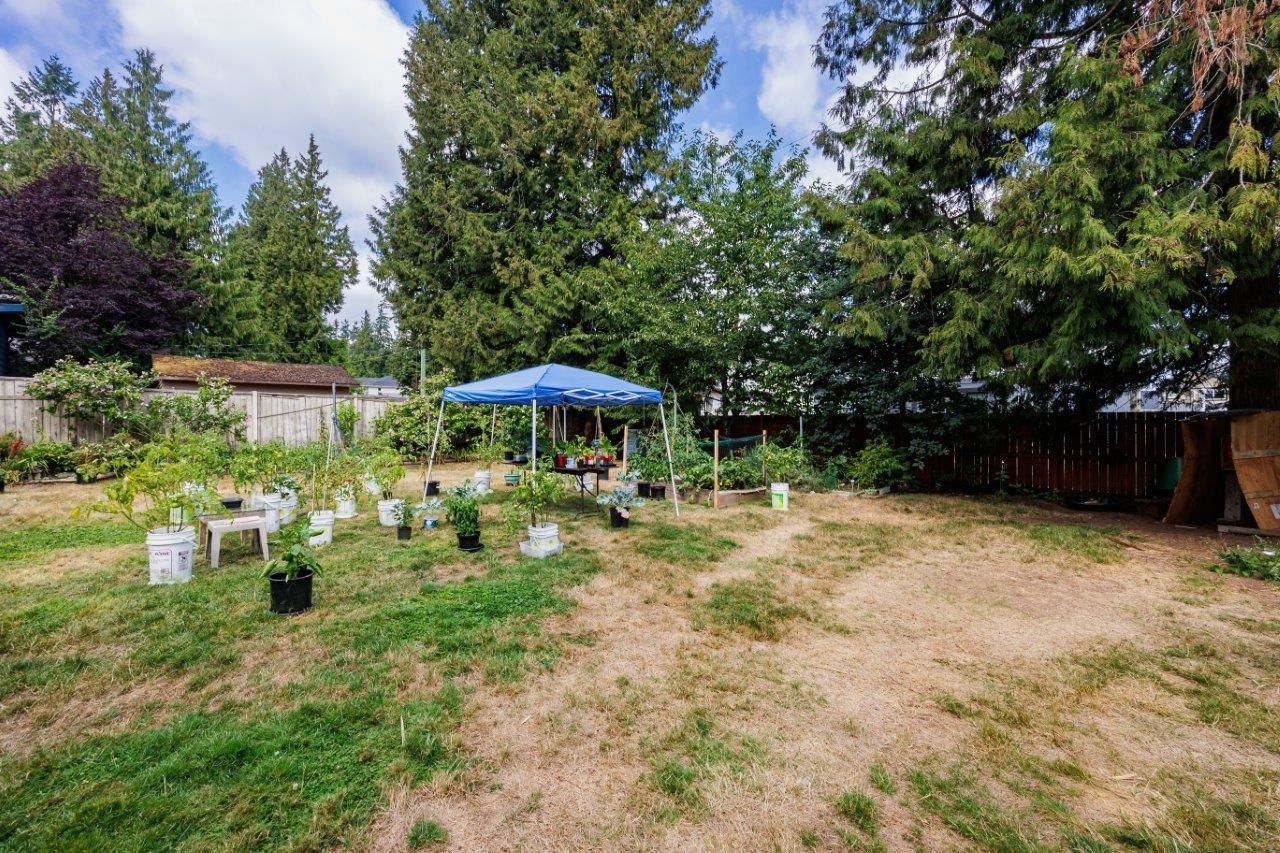 Listing Image 23