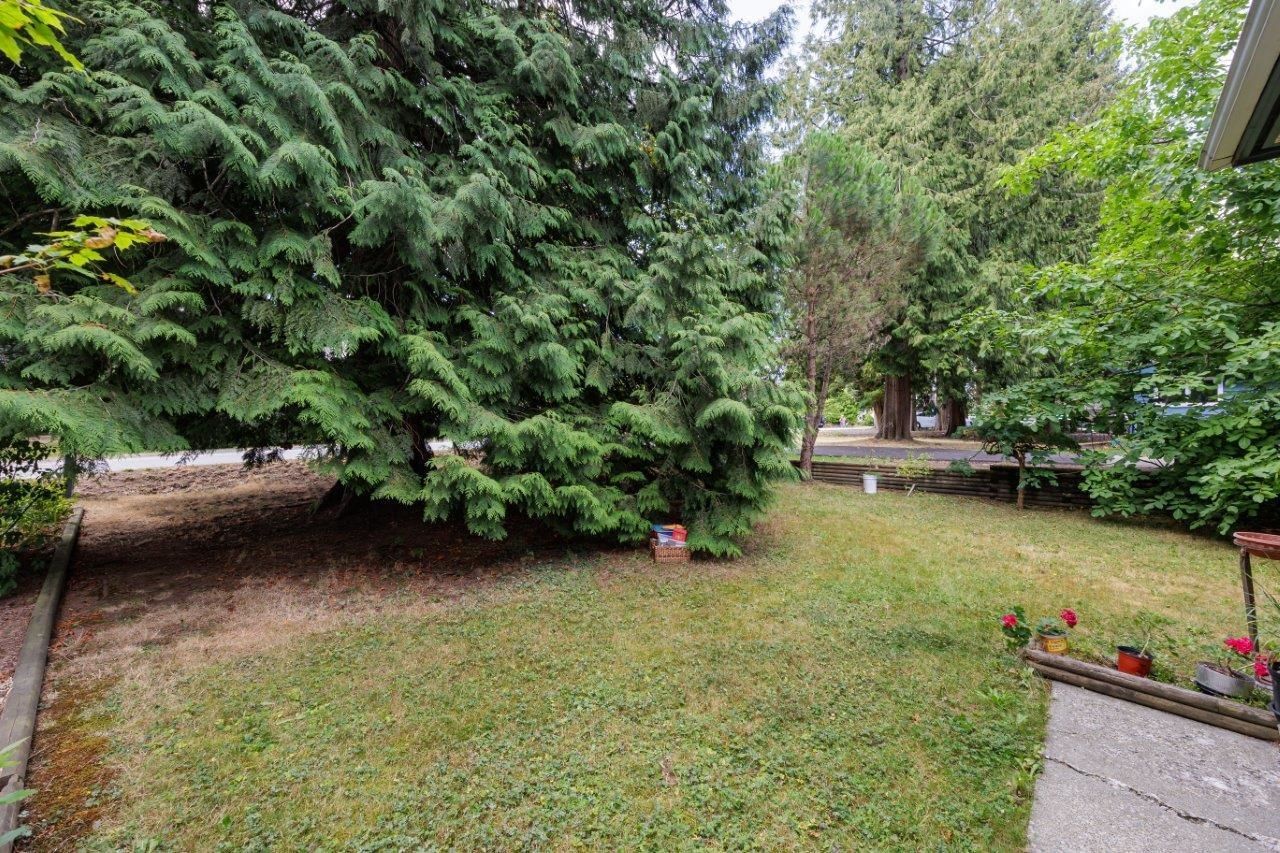 Listing Image 30