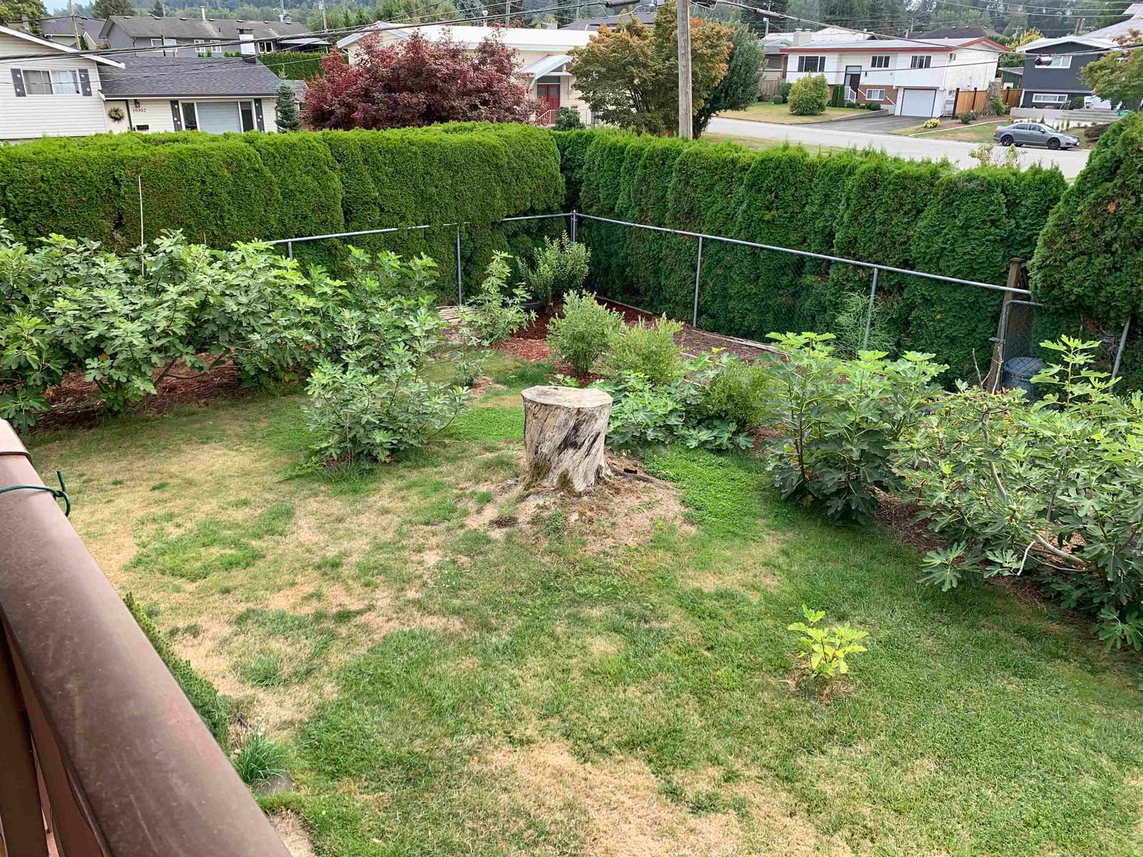 Listing Image 13
