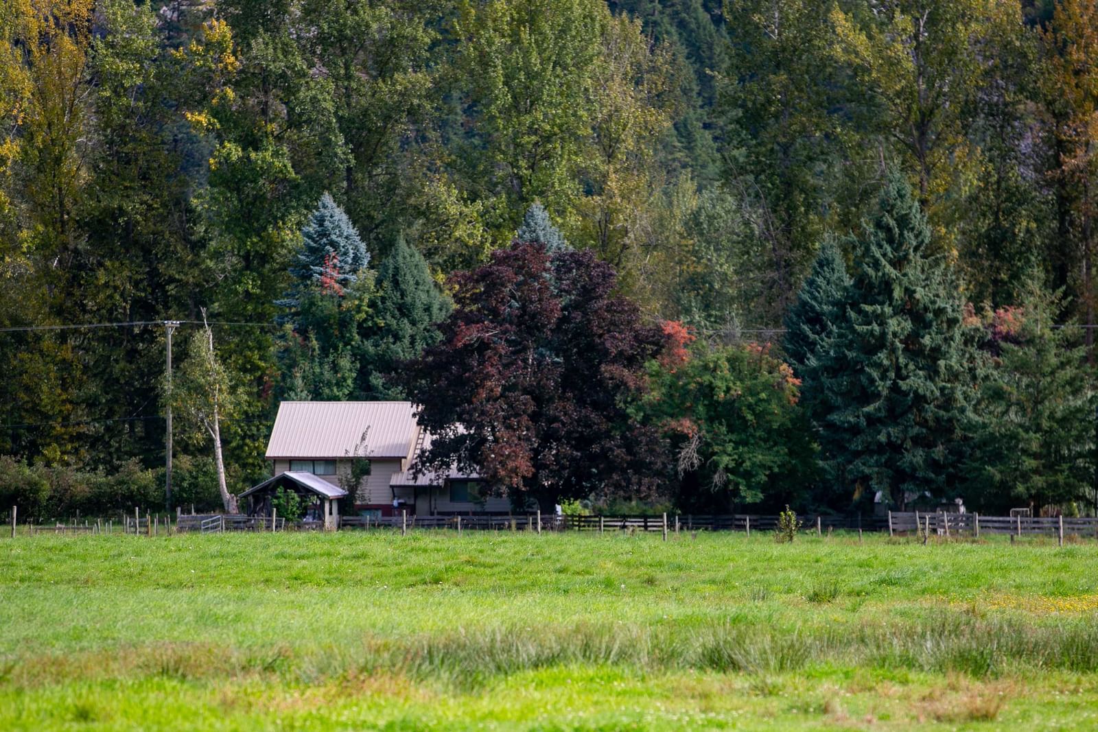 Listing Image 34