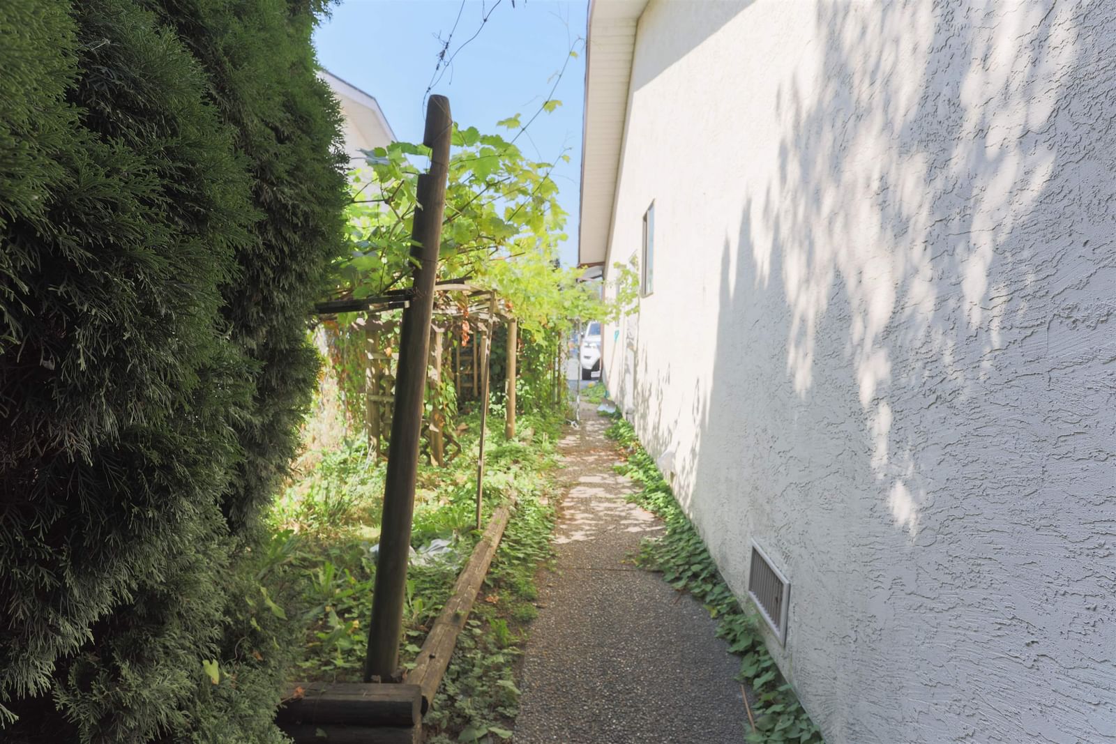 Listing Image 29