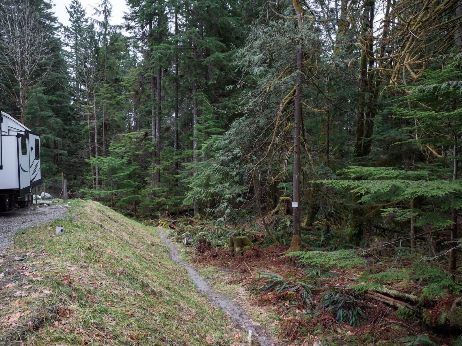 Listing Image 24