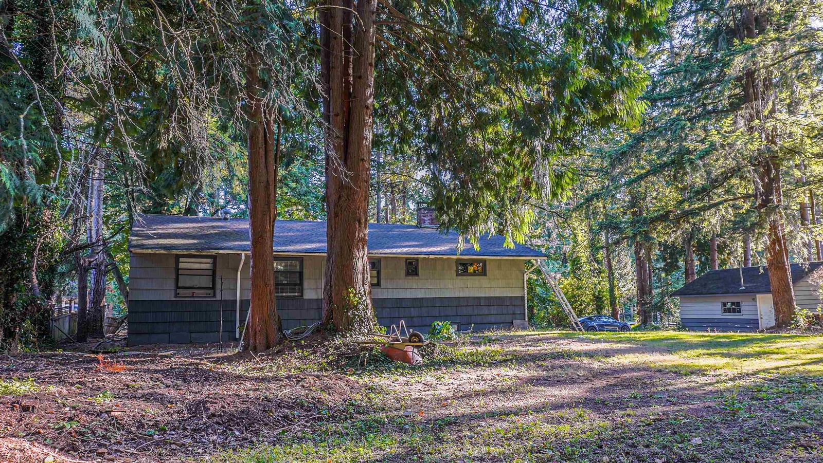 Listing Image 11