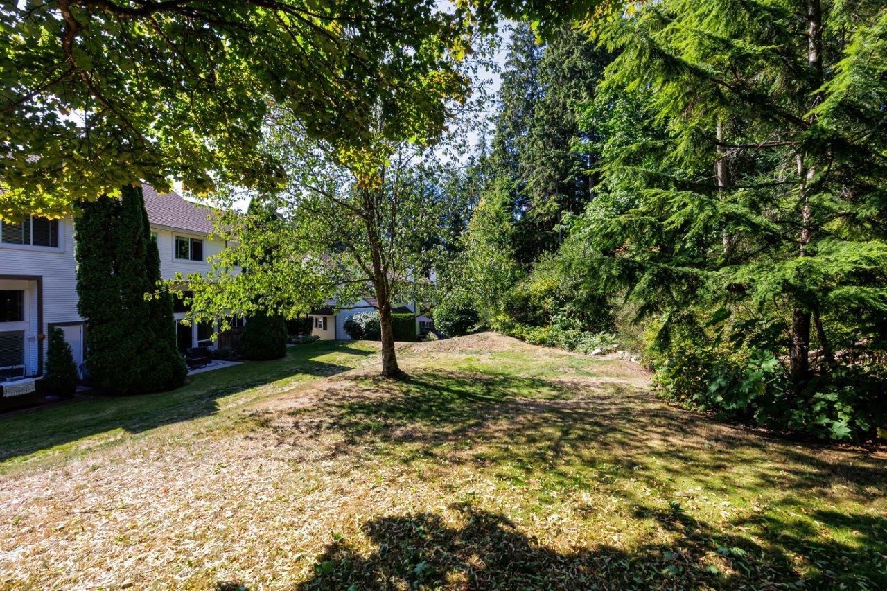 Listing Image 39