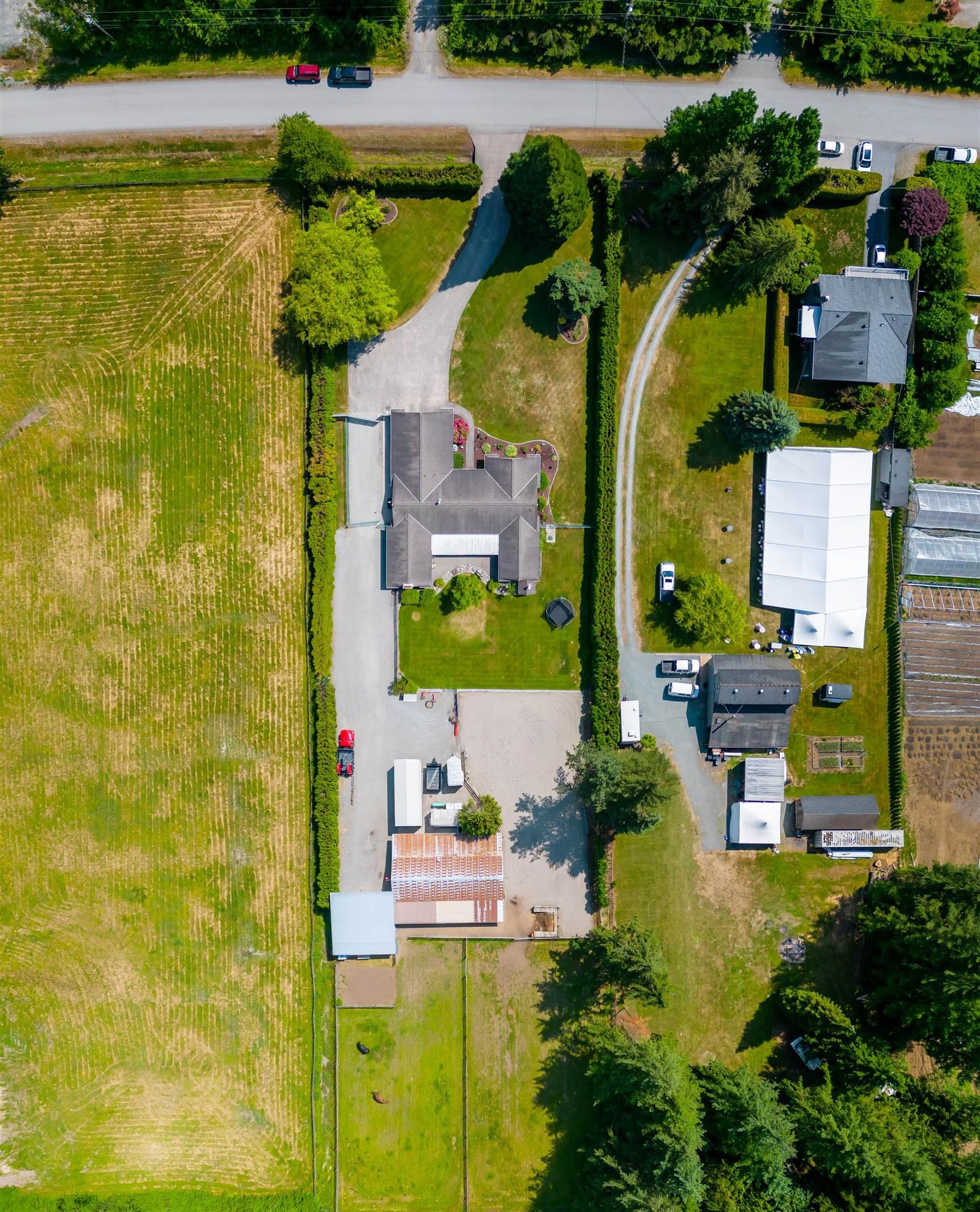 Listing Image 38