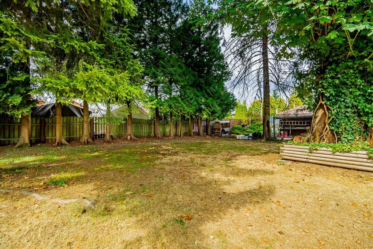 Listing Image 34