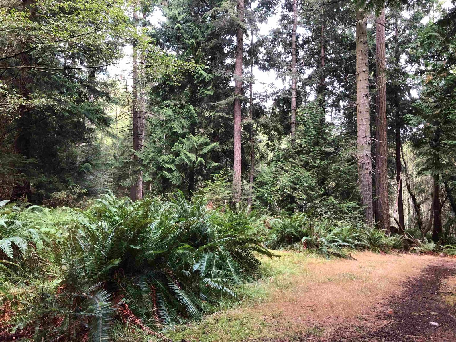 Listing Image 21