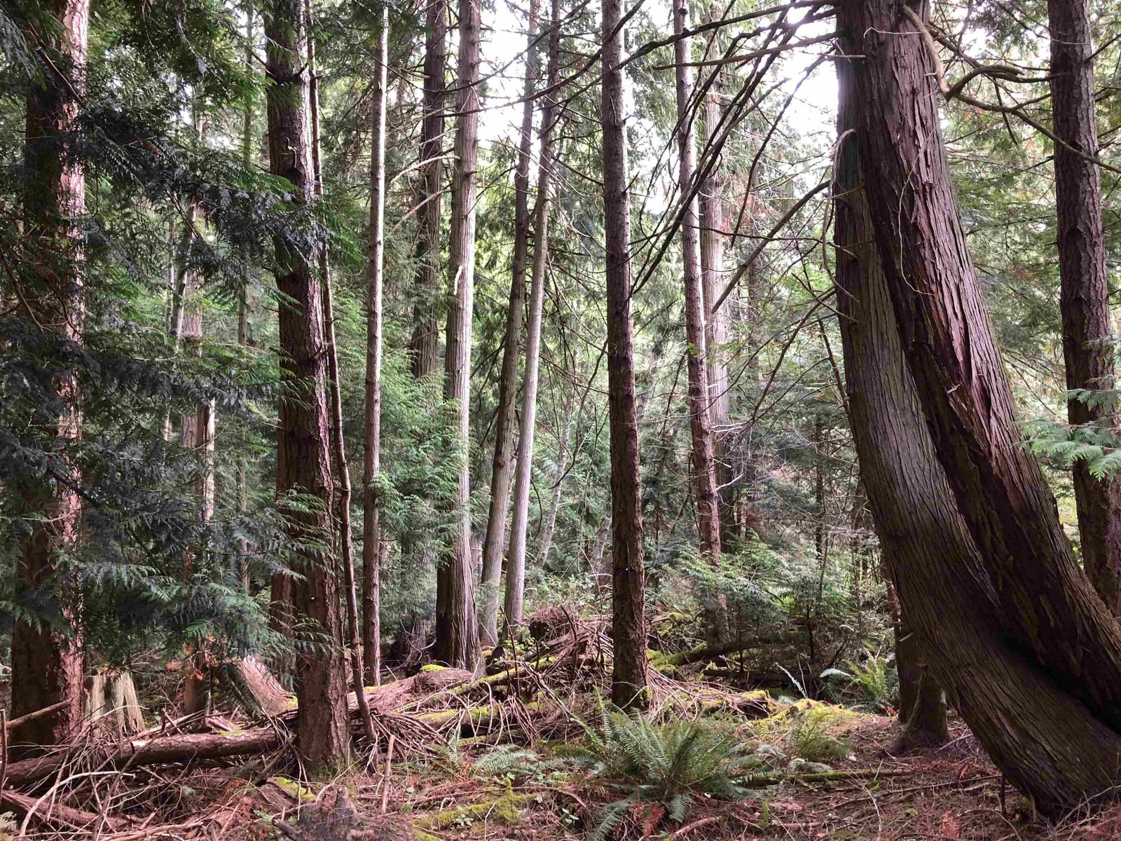 Listing Image 23