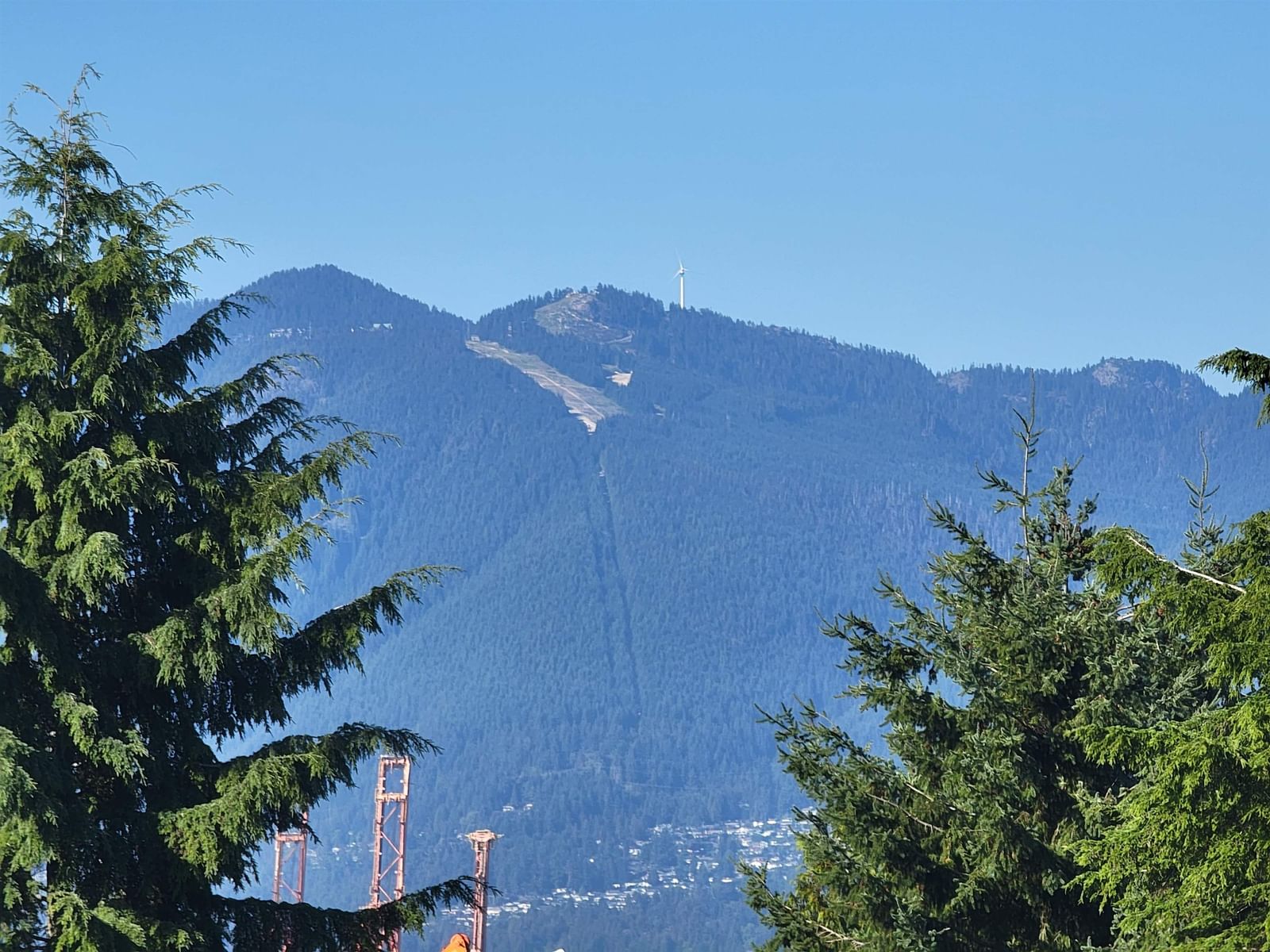Listing Image 39