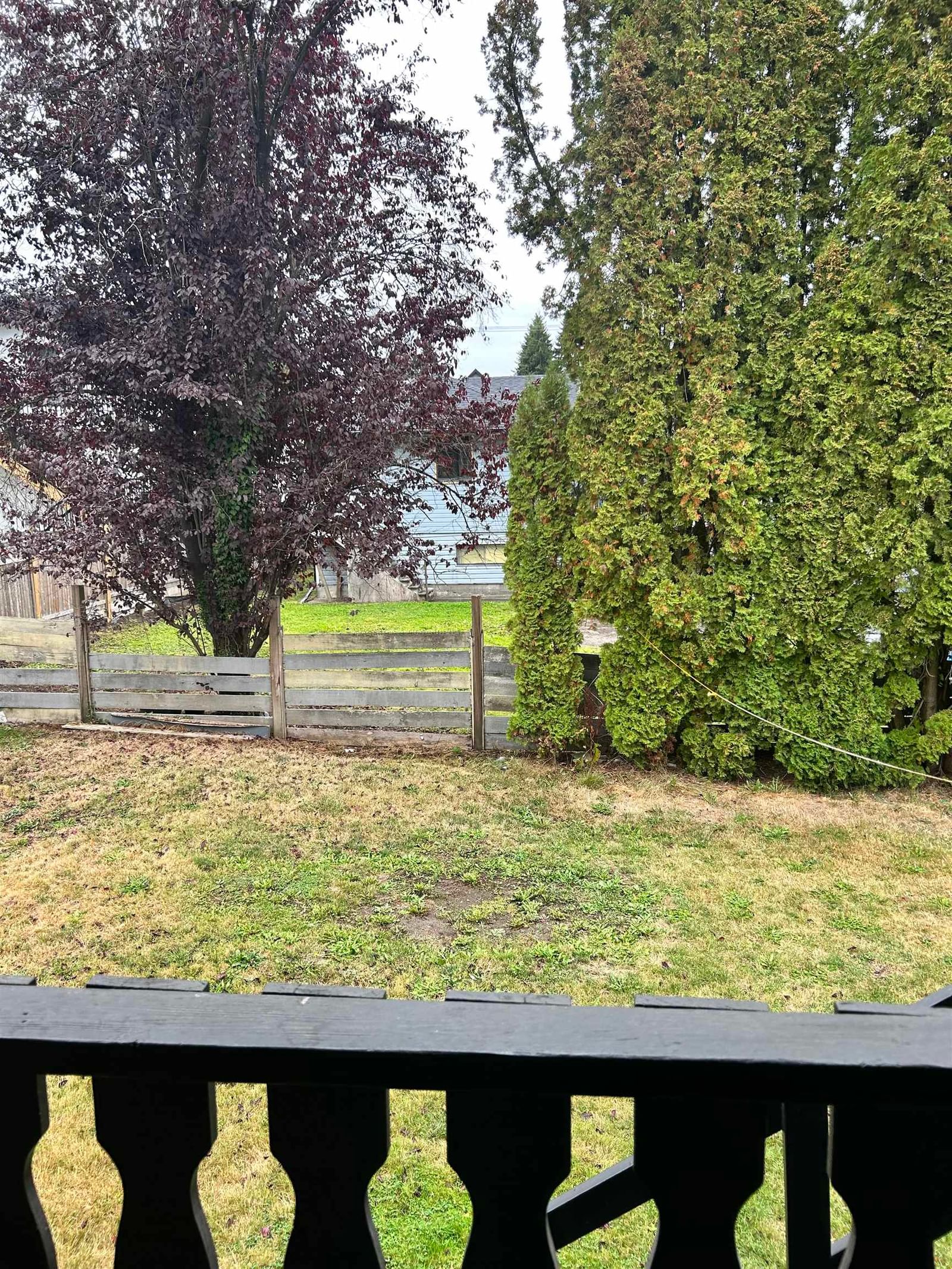 Listing Image 24