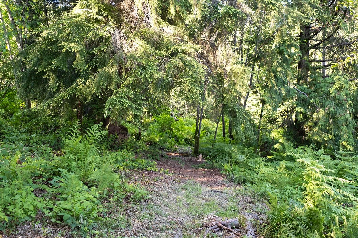 Listing Image 40