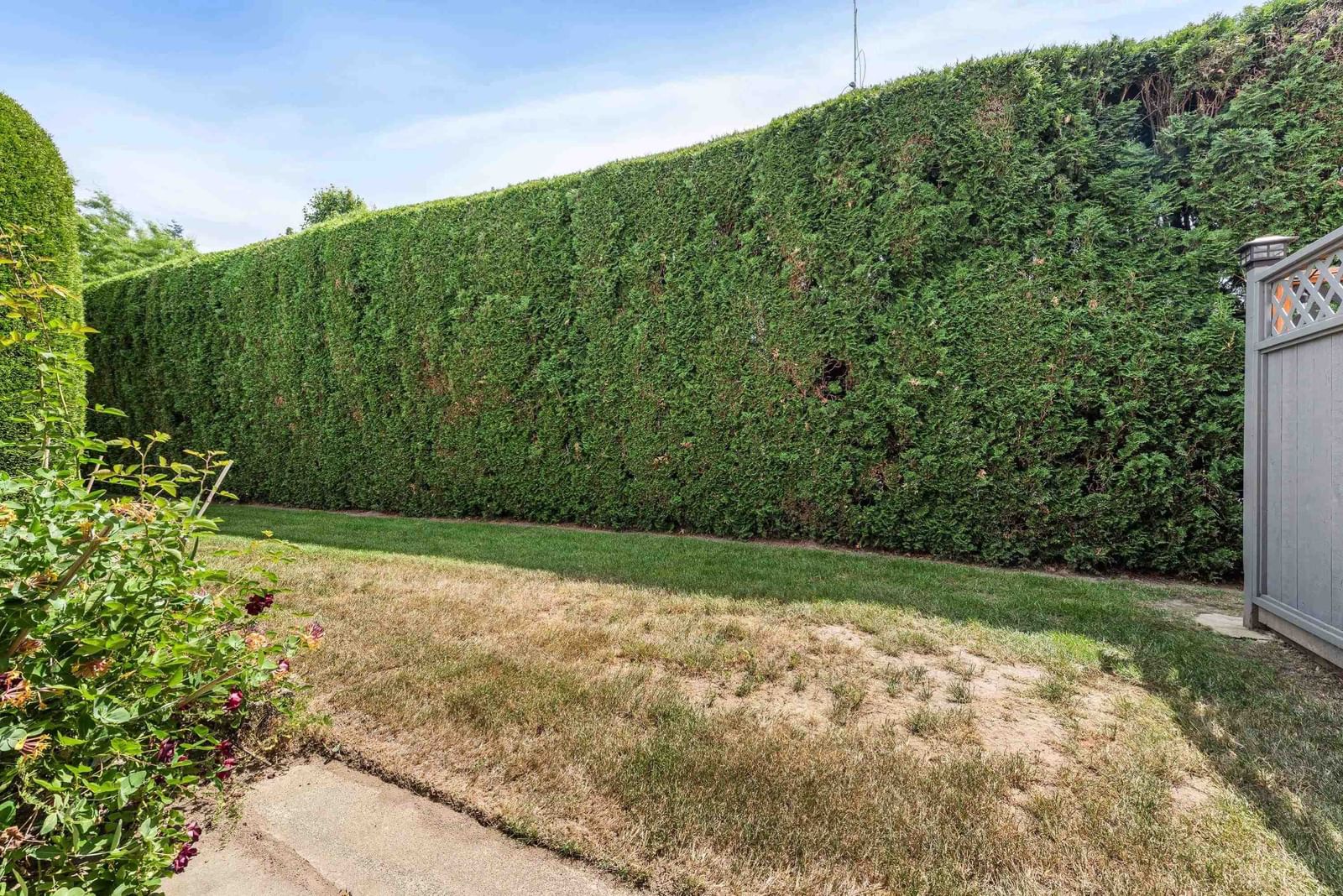 Listing Image 33